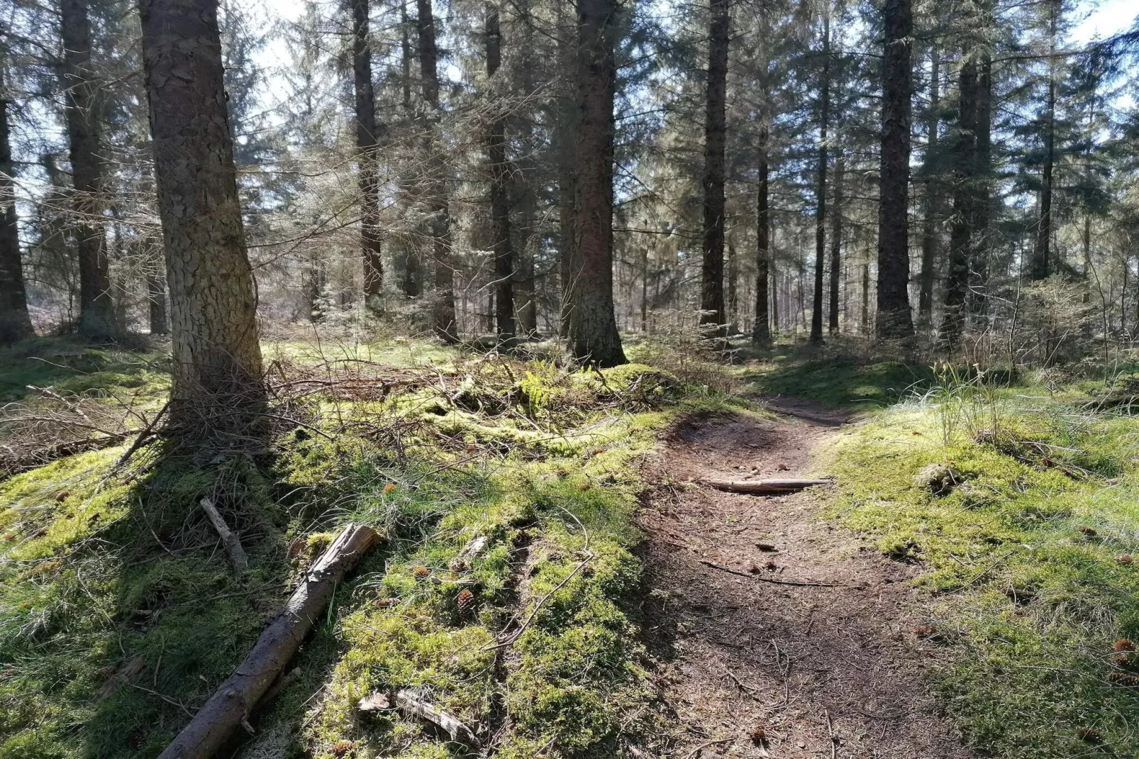 7 person holiday home in Grenaa-Untagged