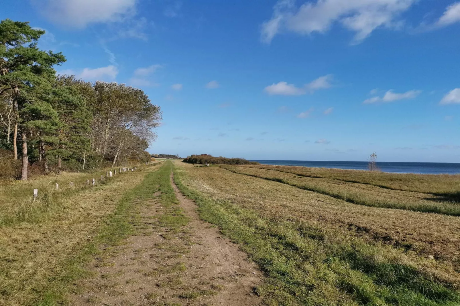 8 person holiday home in Idestrup-Untagged