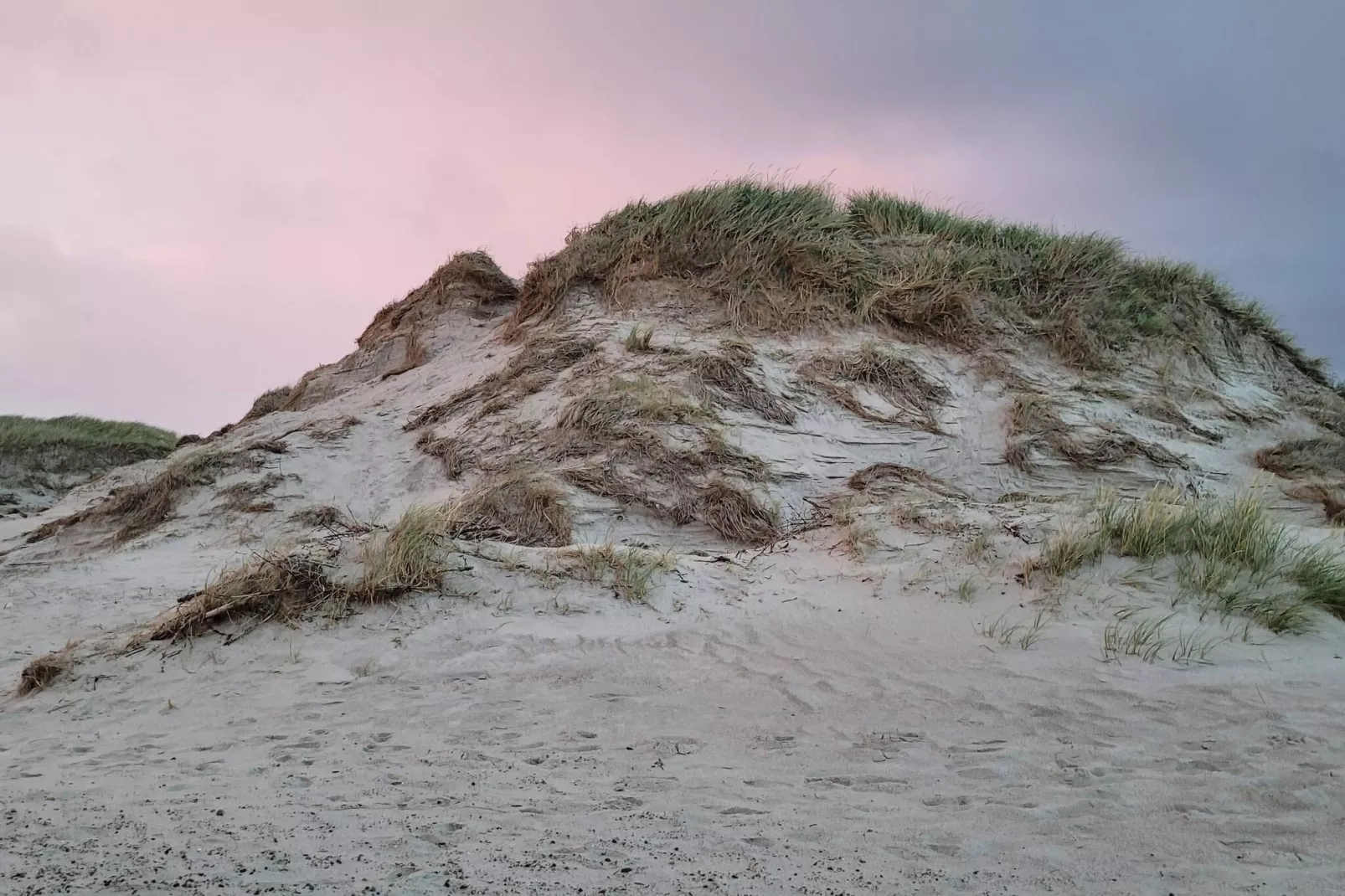 Bright Dune View Cottage-By Traum-Untagged