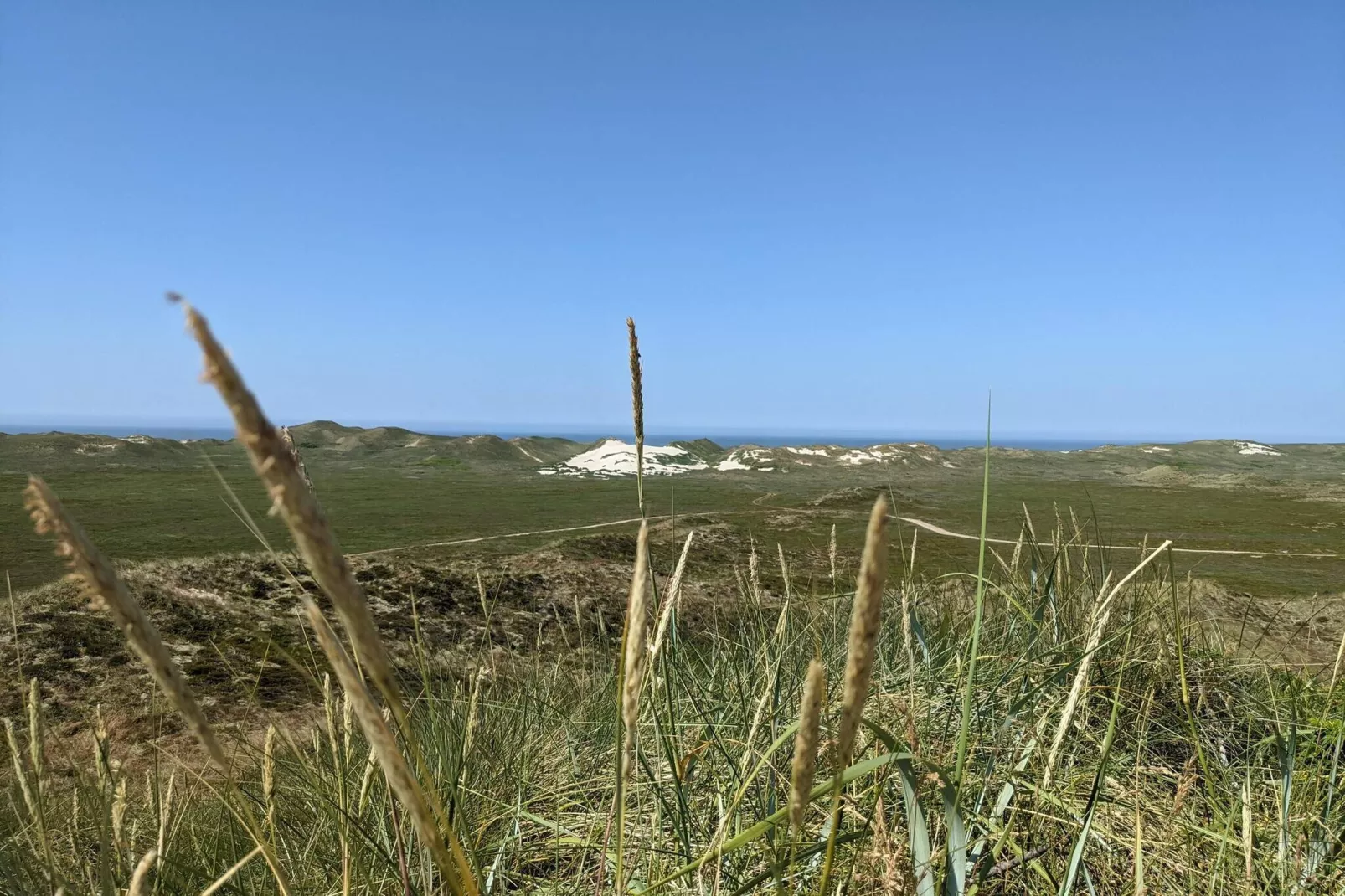 Maison de vacances pour 6 a Hvide Sande-Non tagué