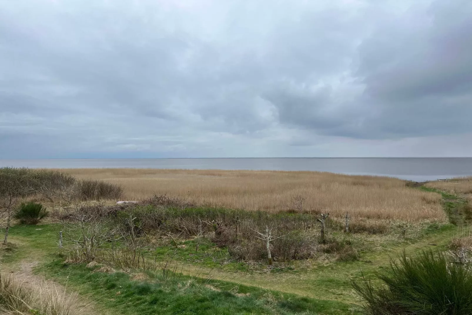 4 person holiday home in Skjern-Outdoor