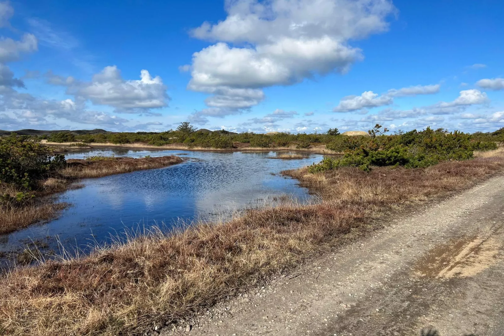 14 Personen Ferienhaus in Ulfborg-Wasserblick