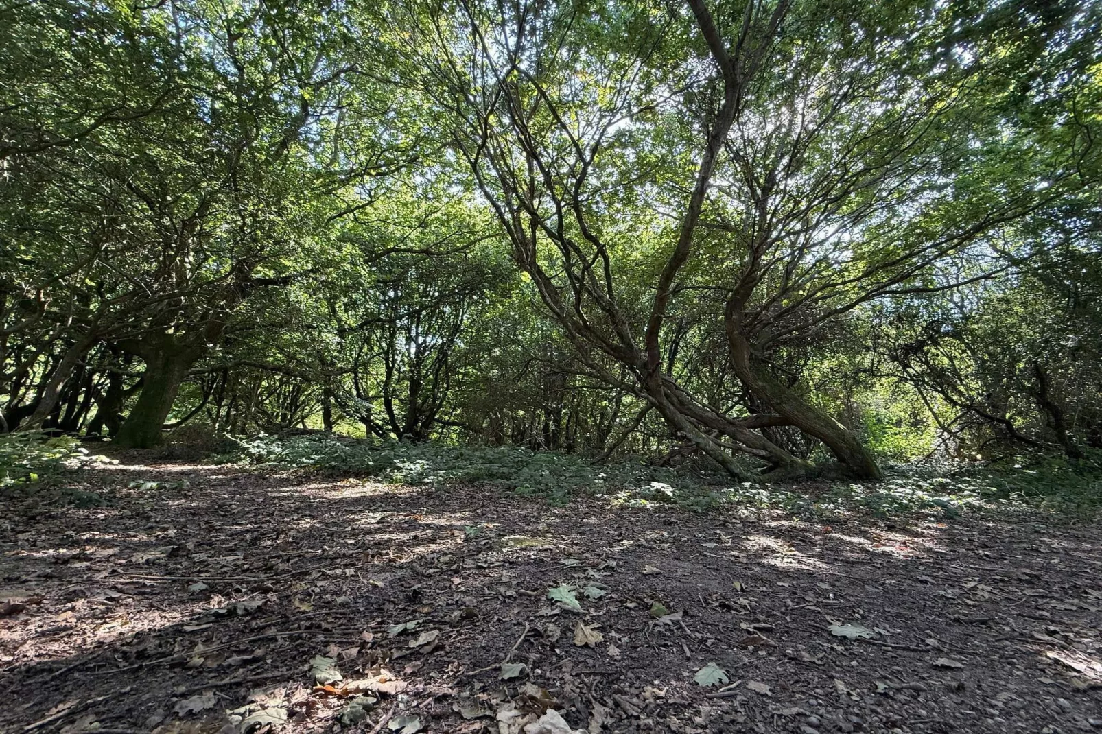 8 person holiday home in Børkop-Untagged