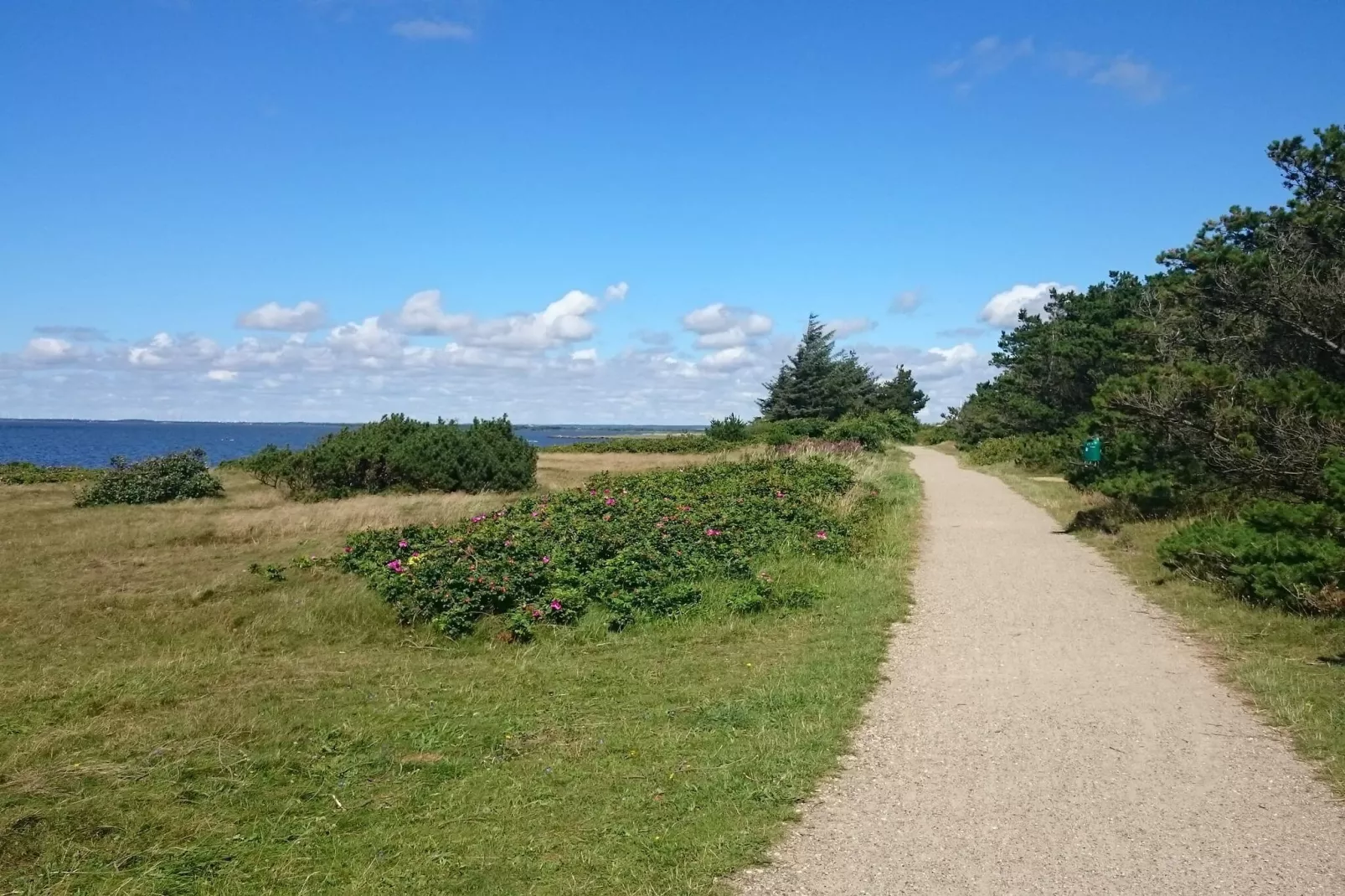 Seaside Cozy Cottage-By Traum-Untagged
