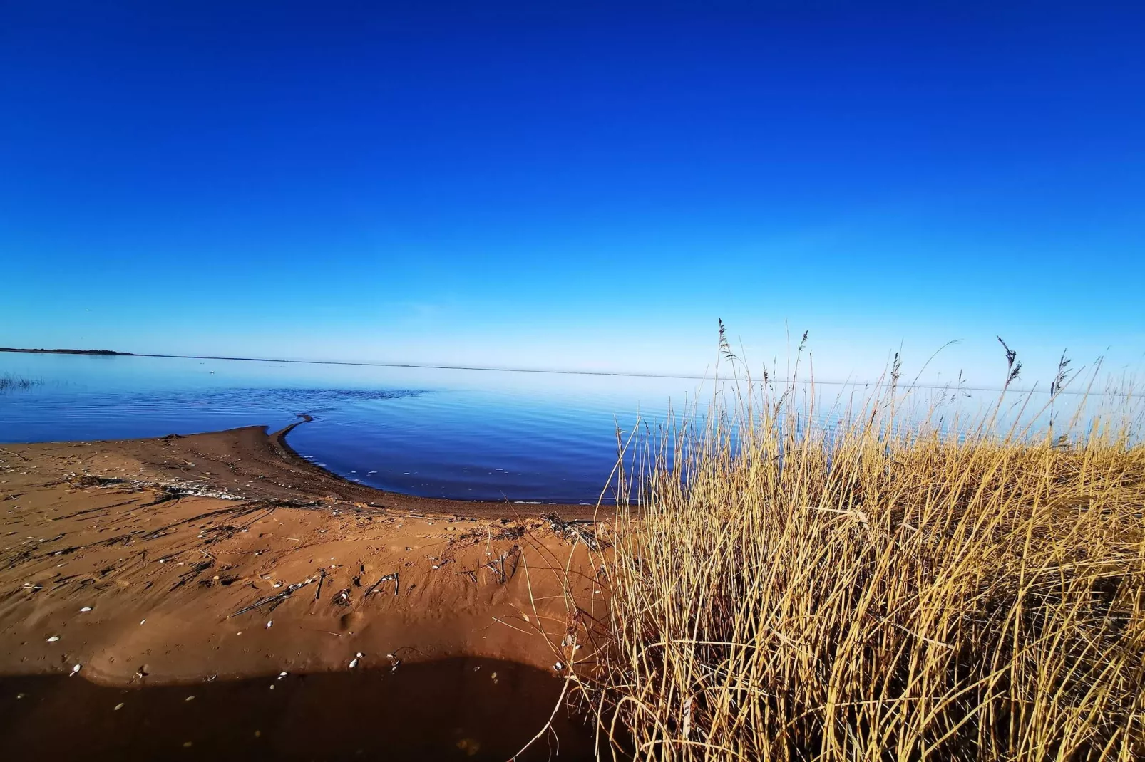 Maison de vacances pour 6 a Tarm-Vue sur l'eau