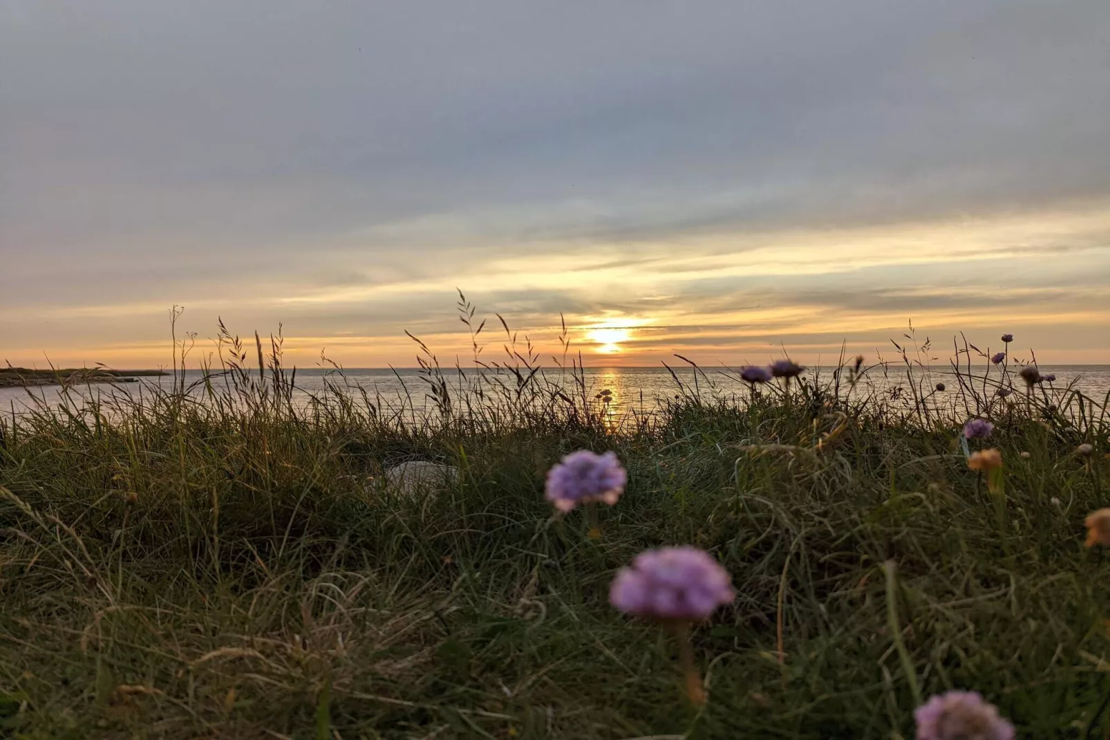 Abgeschiedene Gemutliche Hutte in Skaven-By Traum-Nicht zugeordnet