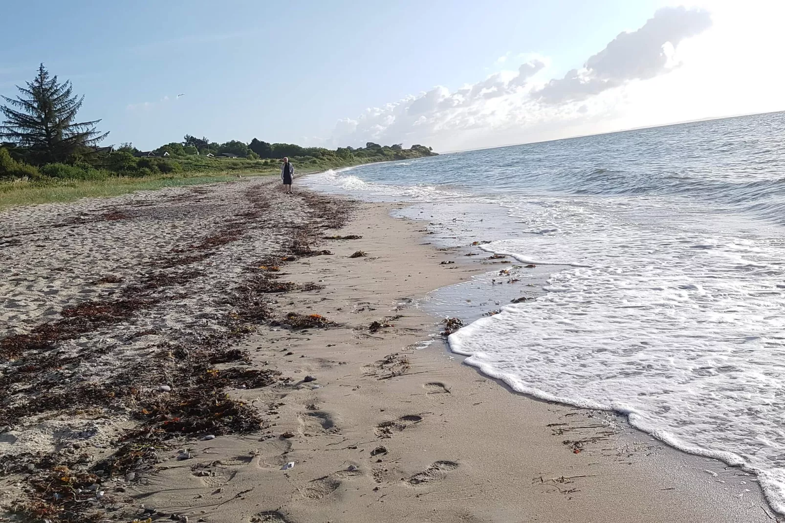 8 person holiday home in Odder-Water view