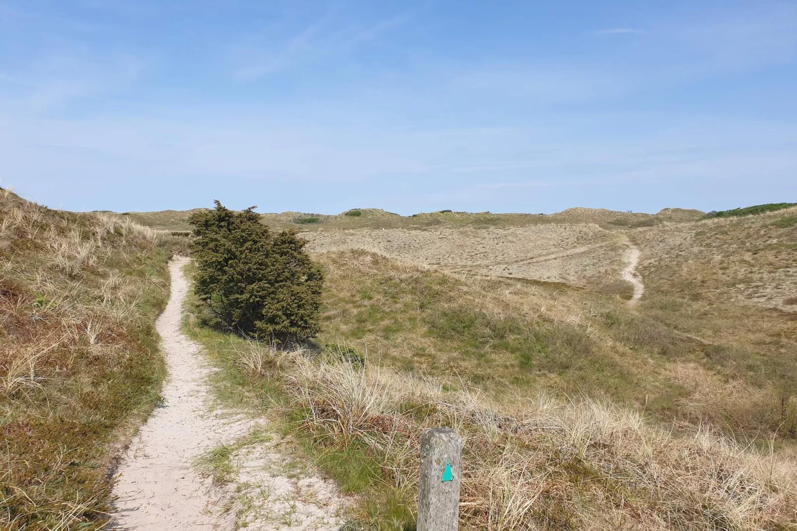 6 person holiday home in Bindslev-Untagged