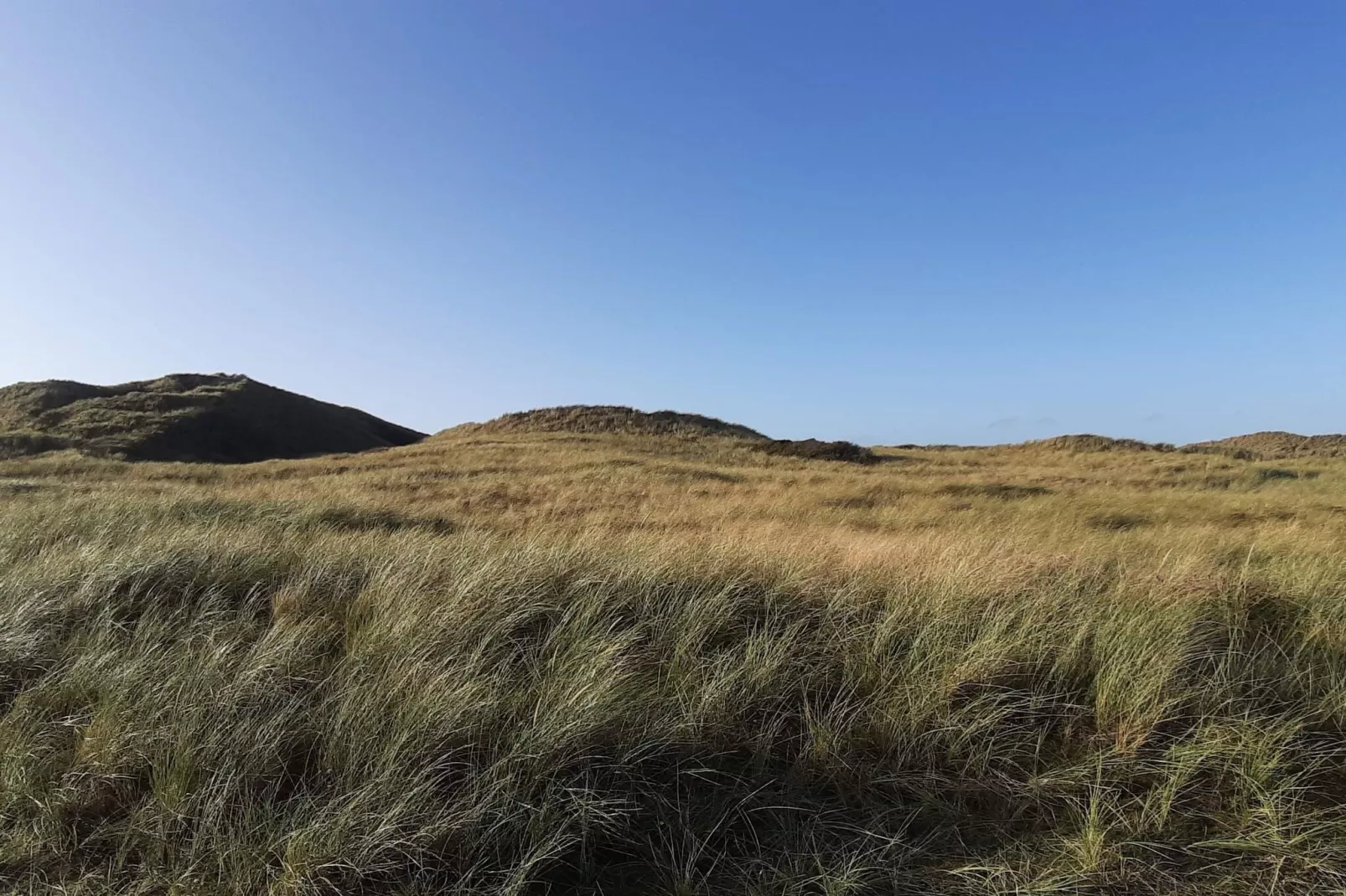 8 Personen Ferienhaus in Ulfborg-Nicht zugeordnet
