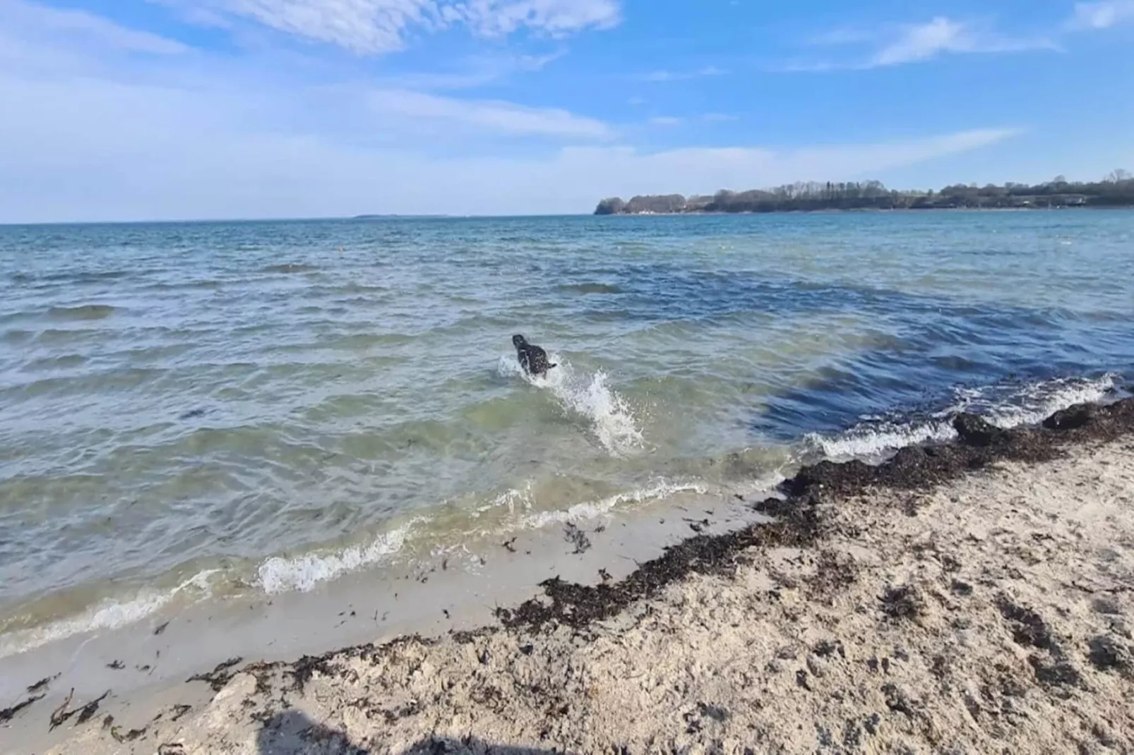 4 person holiday home in Haderslev-Water view