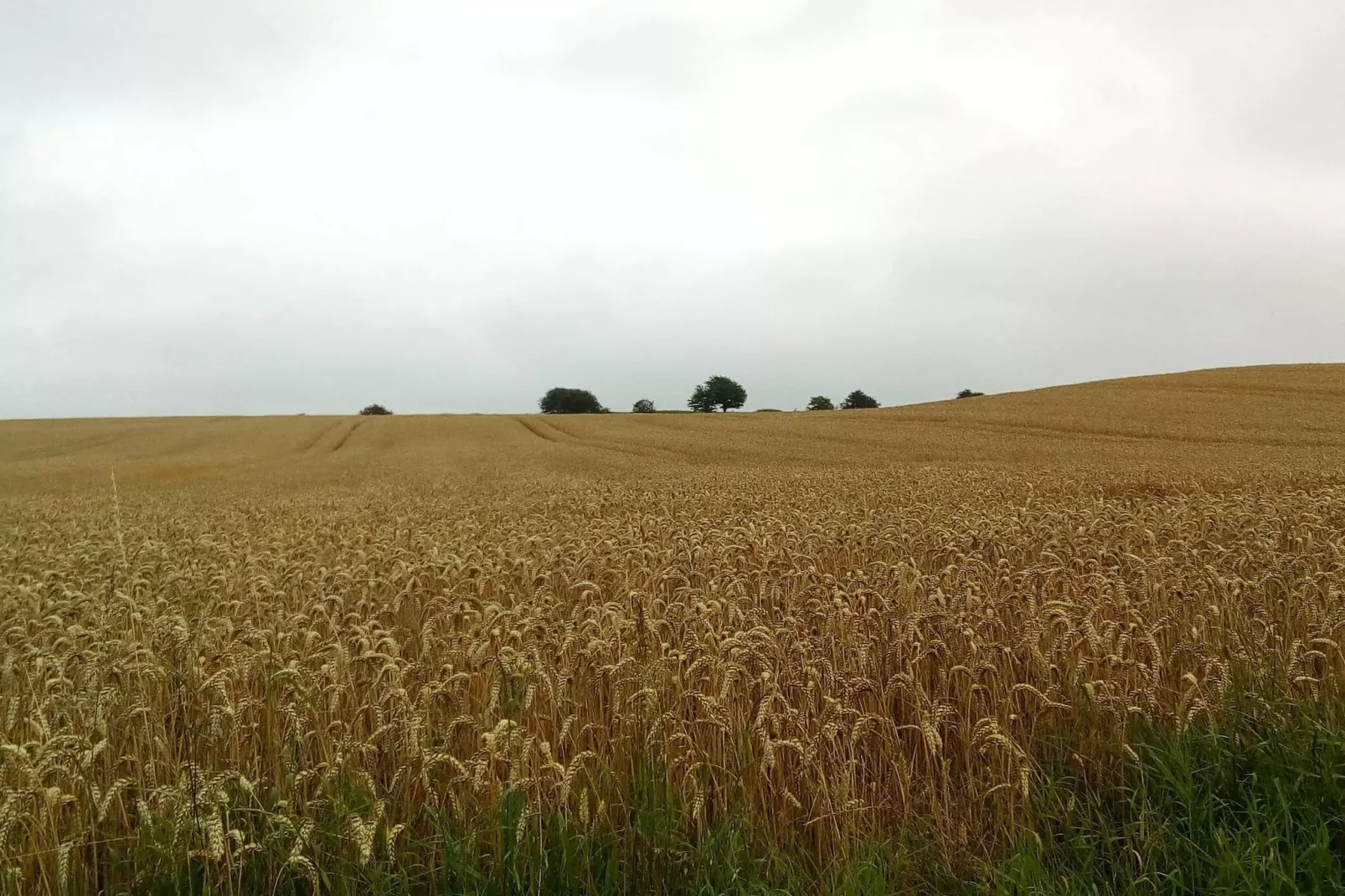 Refuge spacieux a Sonderborg-By Traum-Non tagué