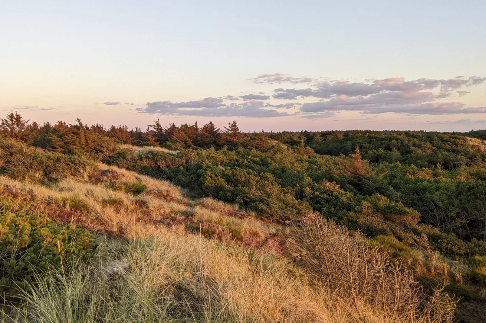 Maison de vacances pour 5 a Vejers Strand-Non tagué