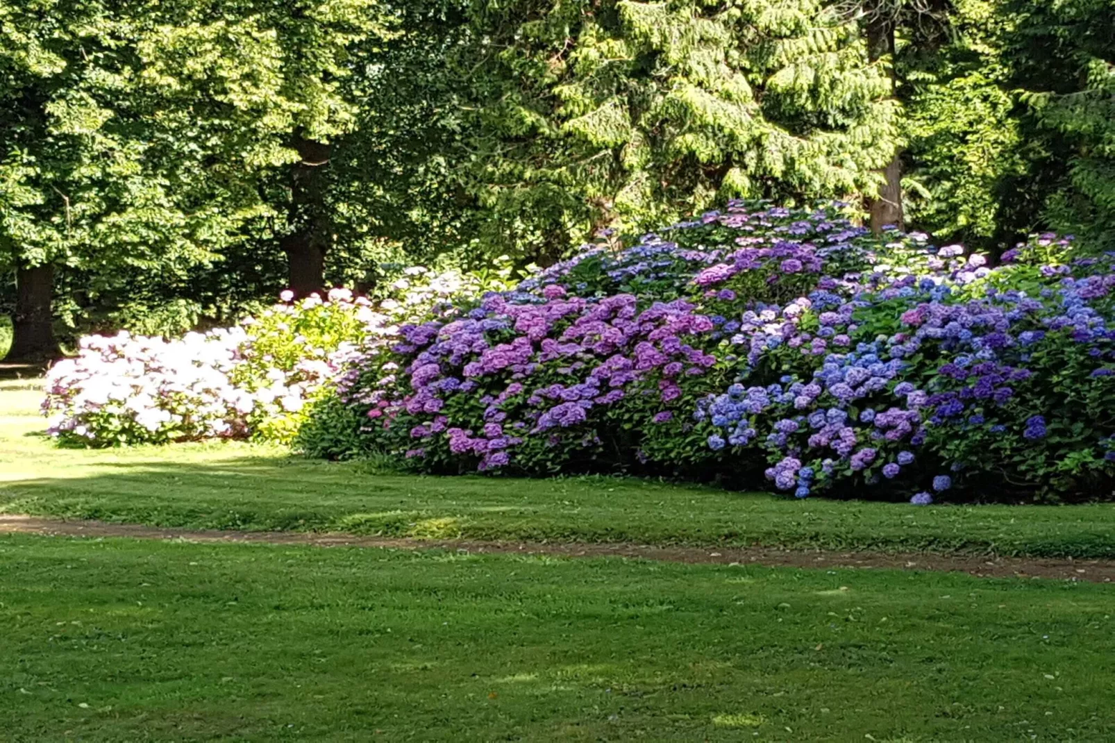 Maison de vacances pour 6 a Rude-Non tagué