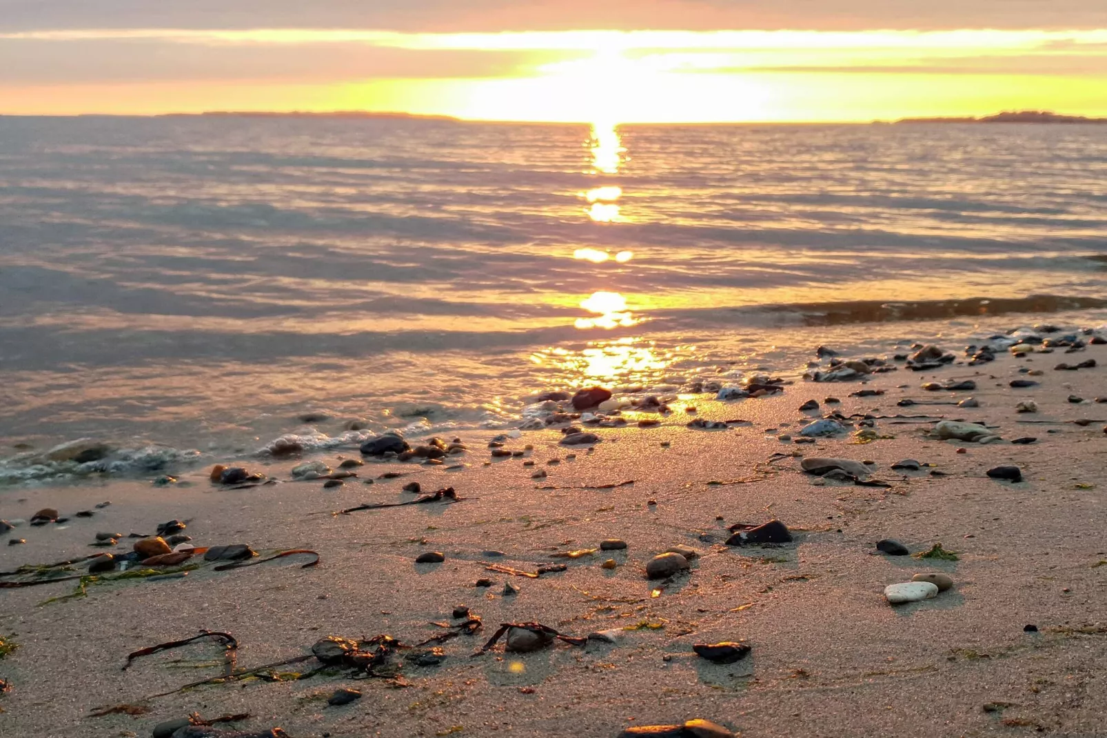 Secluded Forest Haven-By Traum-Water view