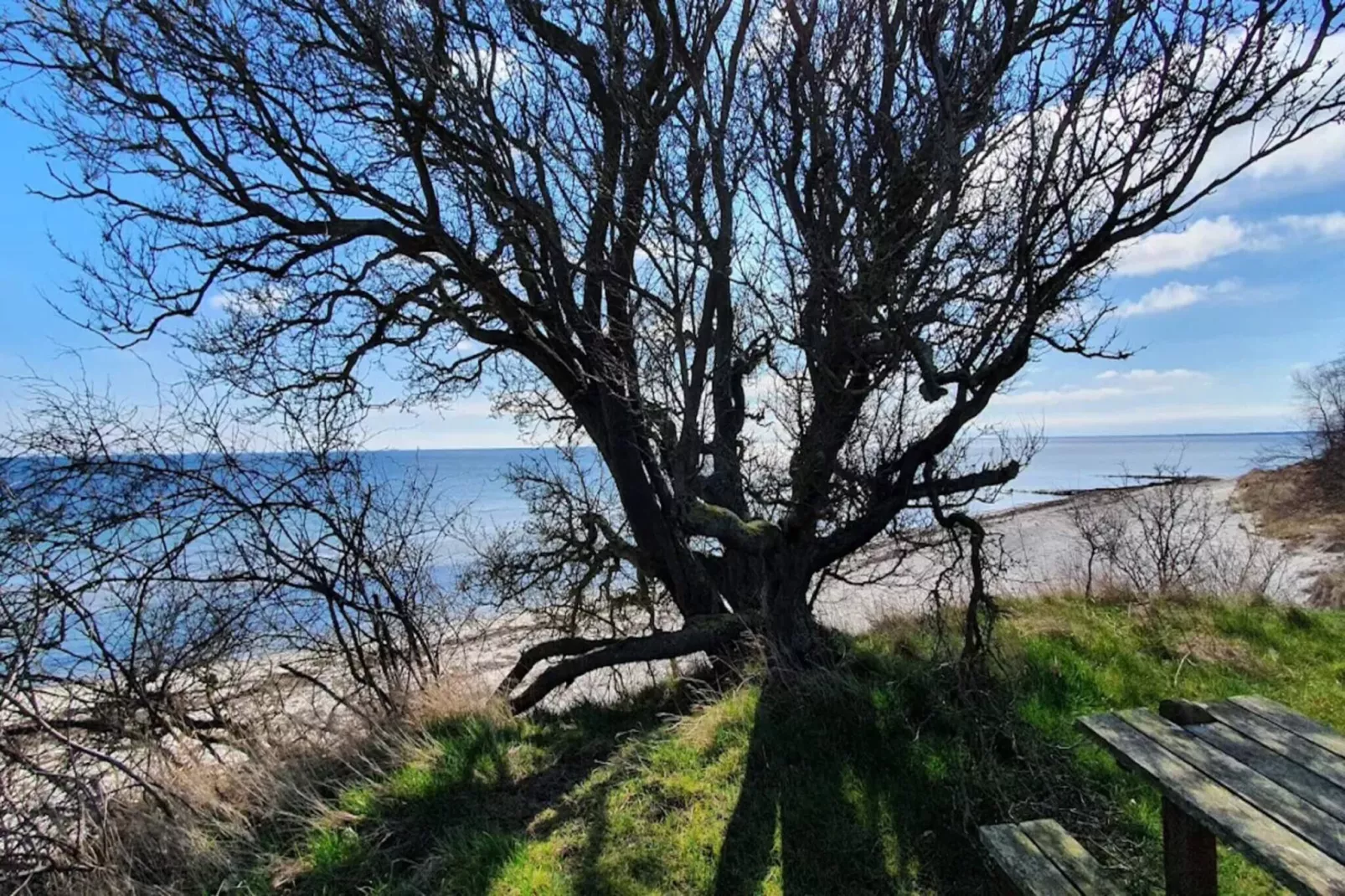 12 Personen Ferienhaus in Væggerløse-Wasserblick