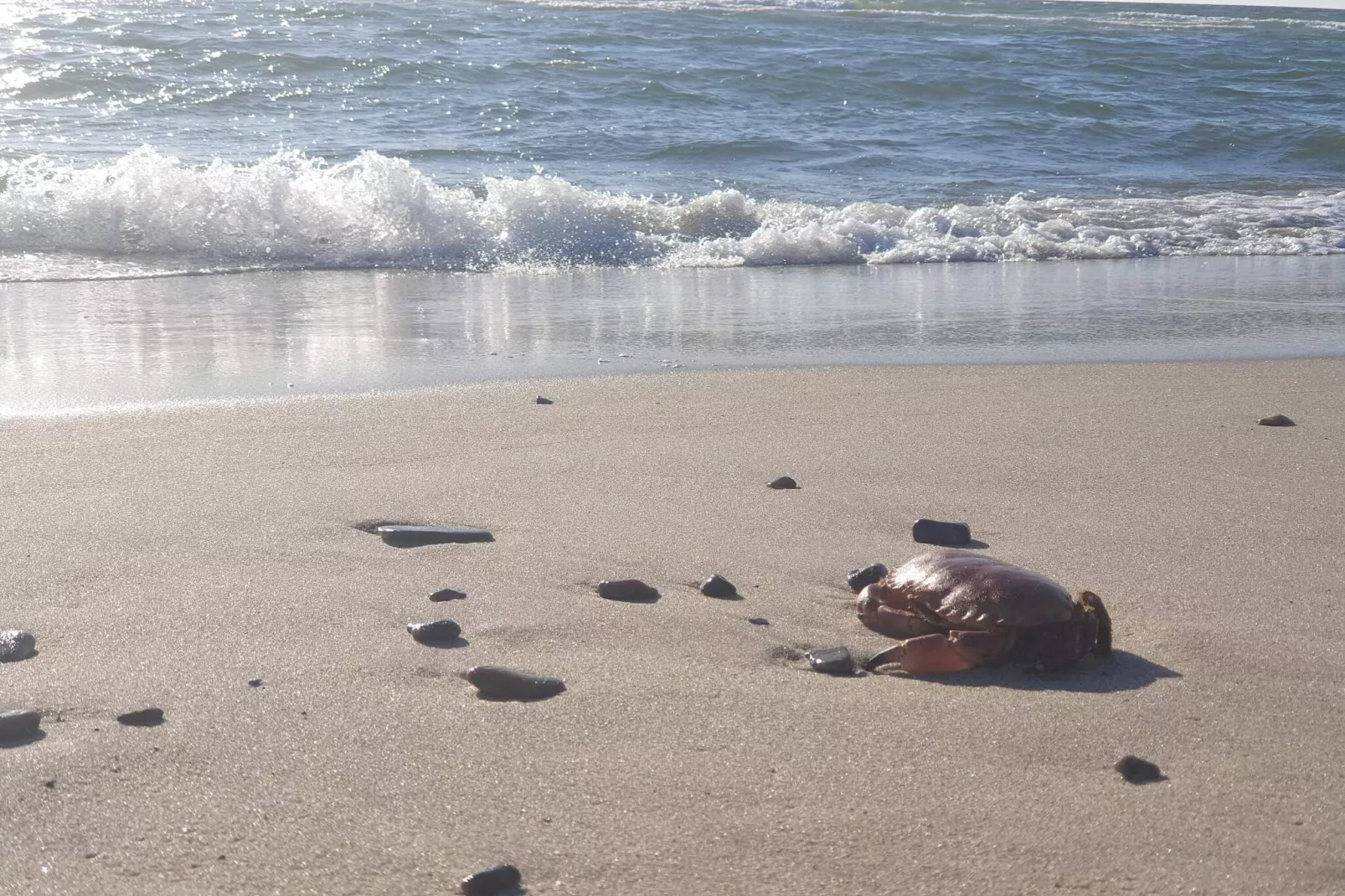 6 Personen Ferienhaus in Ringkøbing-Wasserblick