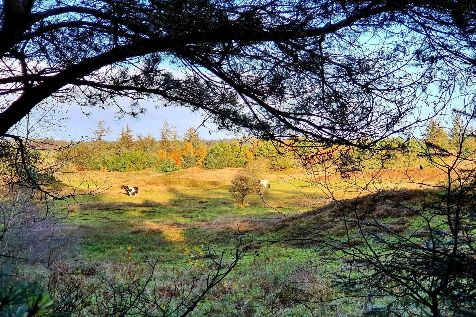 6 person holiday home in Fjerritslev - Untagged