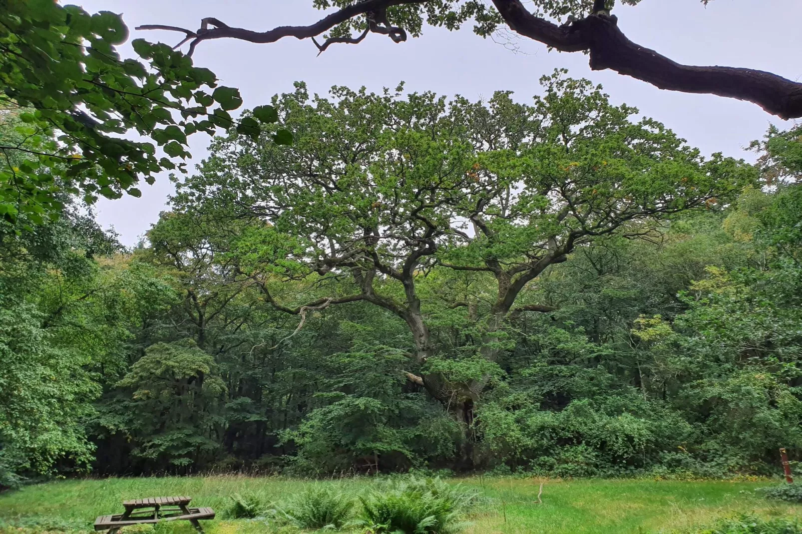Maison de vacances pour 10 a Stege-Non tagué