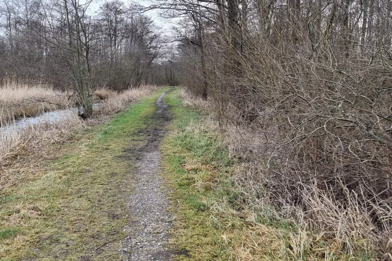 Maison de vacances pour 8 a Ebeltoft-Non tagué