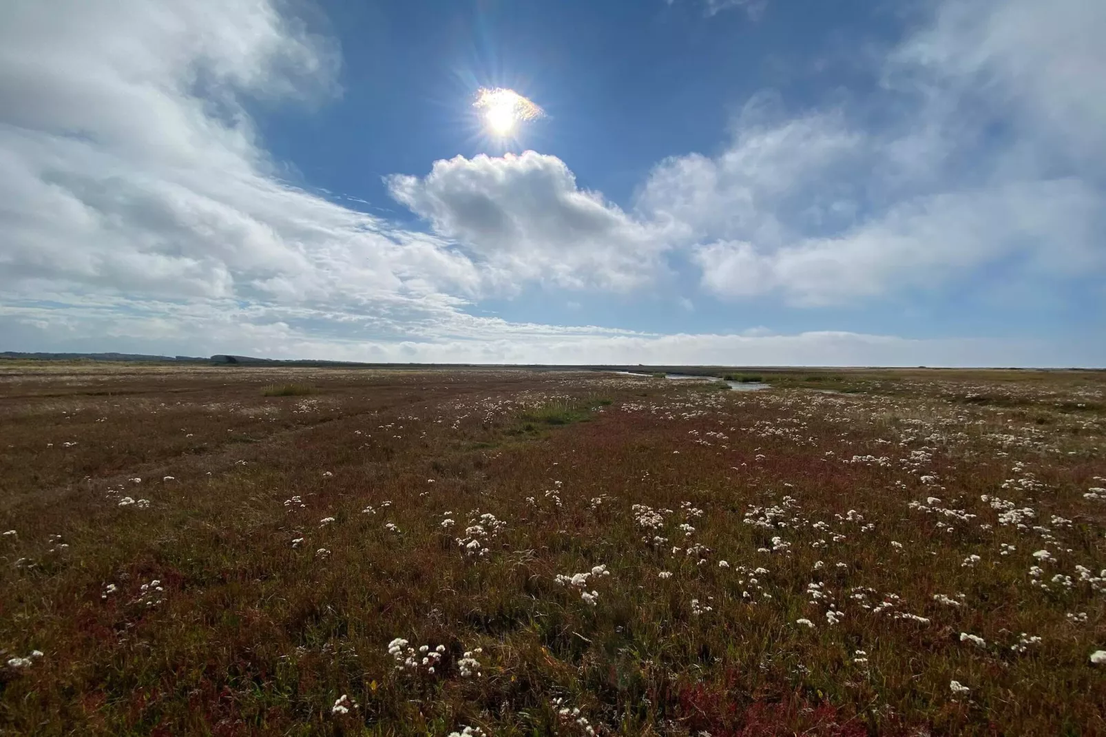 Maison de vacances pour 4 a Læsø-Non tagué