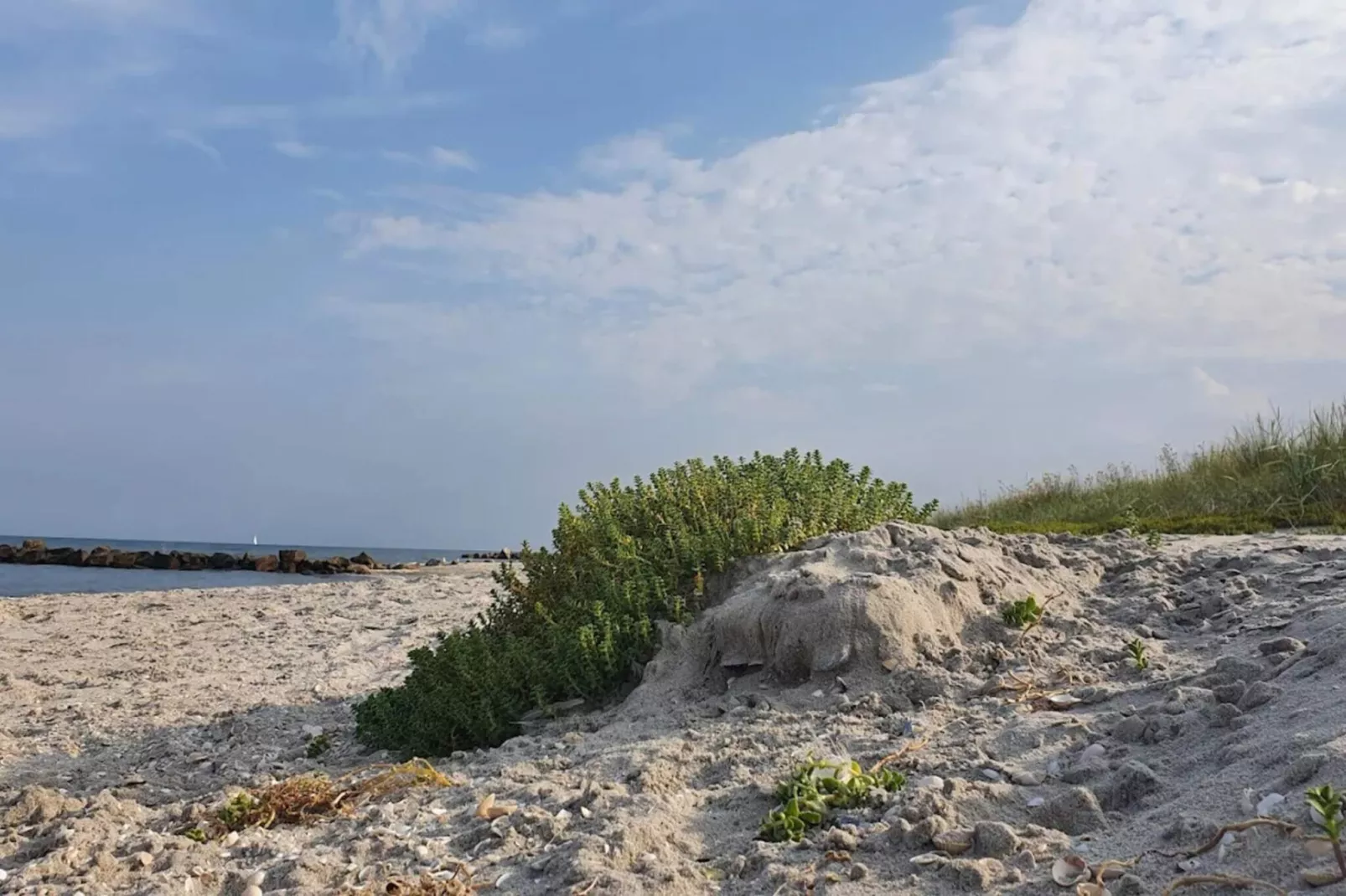 5 Personen Ferienhaus in Frederikshavn-Wasserblick