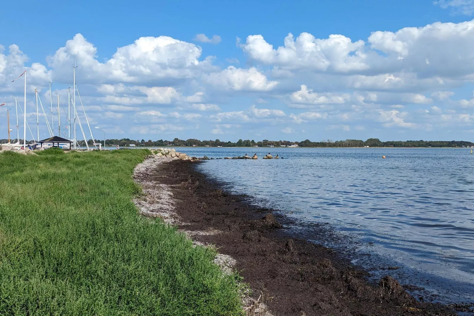 Maison de vacances pour 6 a Gørlev-Vue sur l'eau
