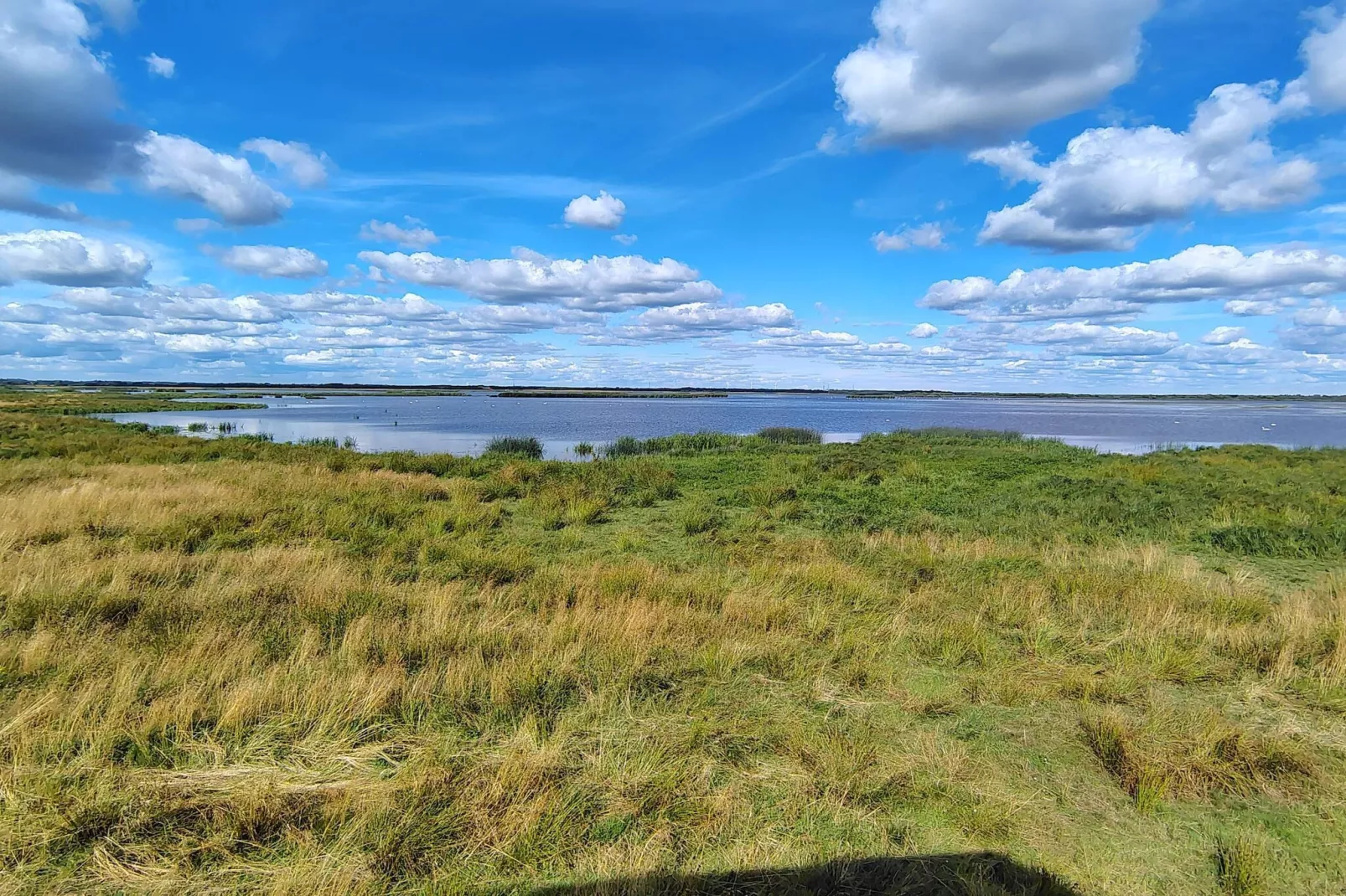 8 person holiday home in Hemmet-Outdoor