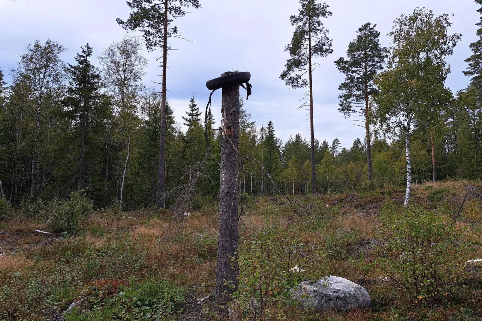 Maison de vacances pour 6 a KOPPARBERG-By Traum-Non tagué