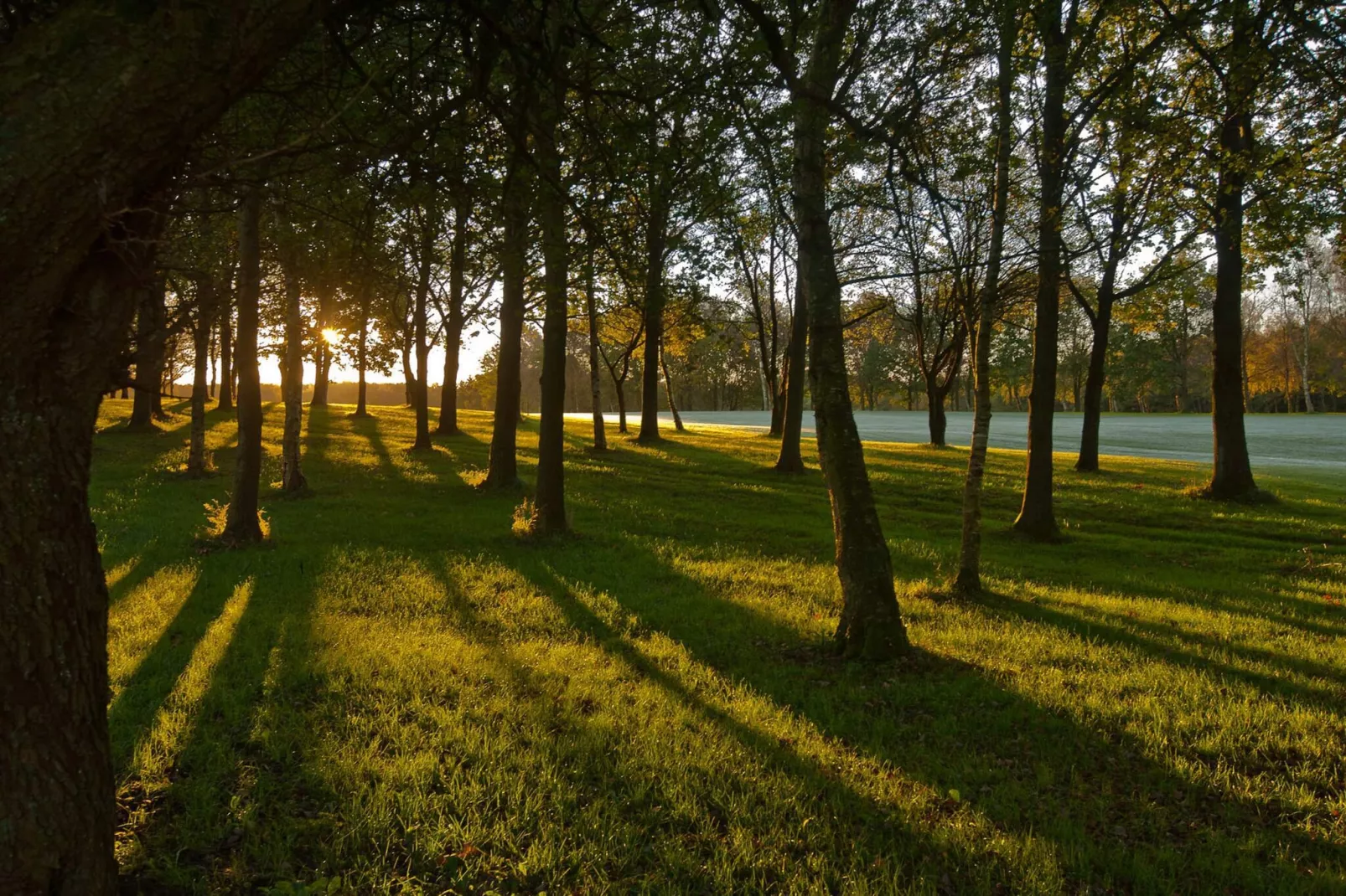 4 person holiday home in Børkop-By Traum-Untagged