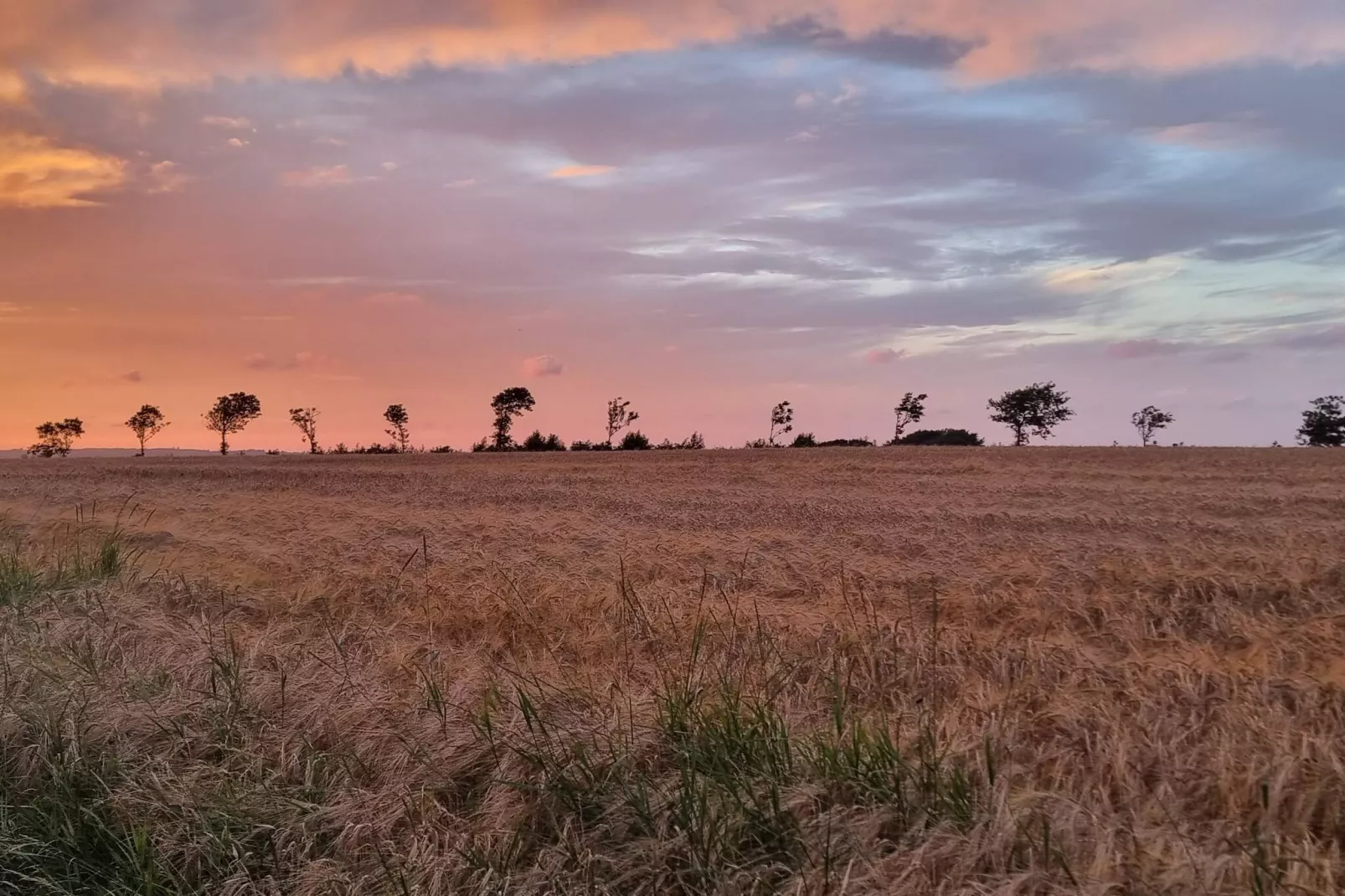 5 person holiday home in Roslev-By Traum-Untagged