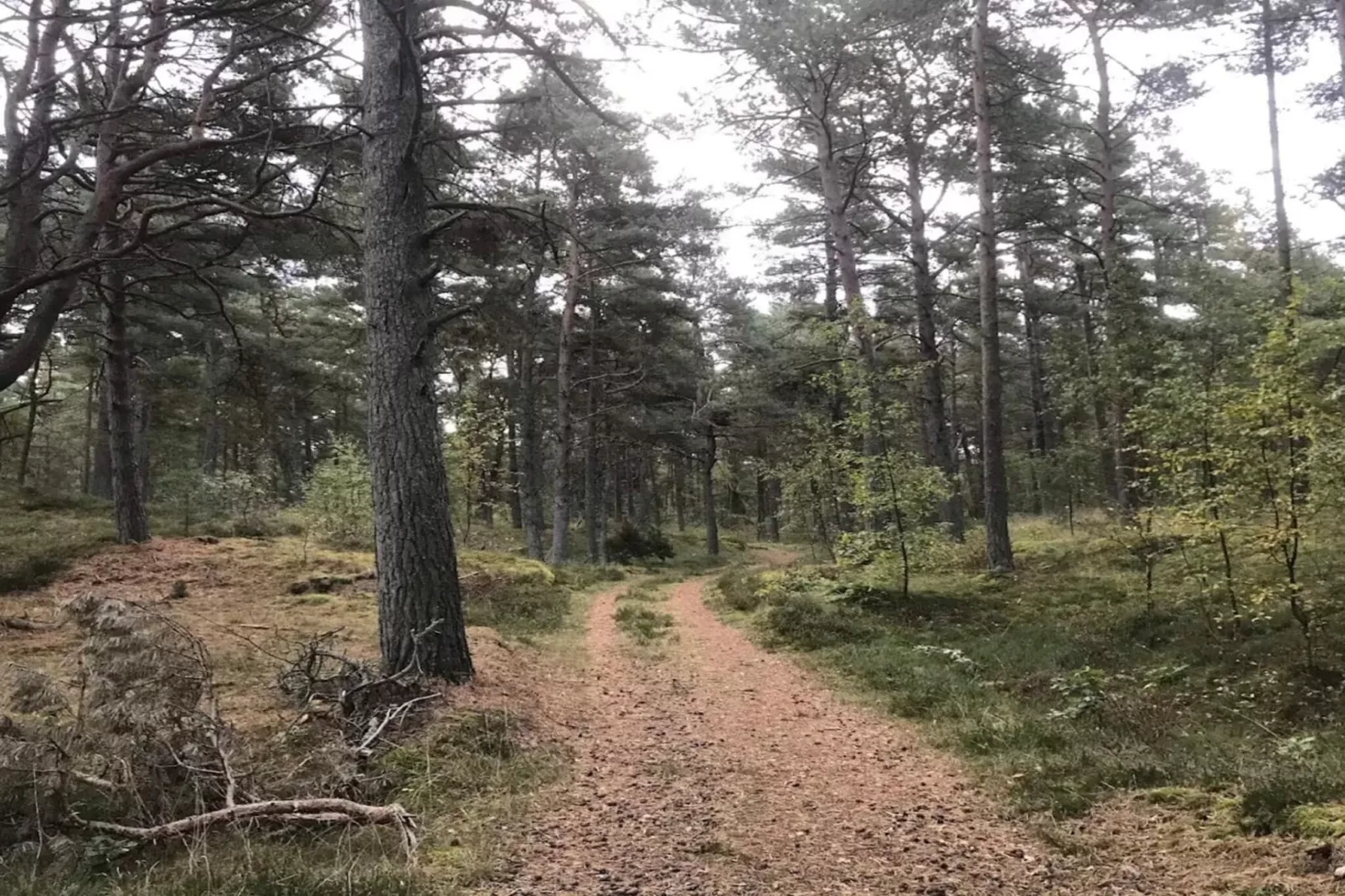 6 person holiday home in Löderup-By Traum-Untagged