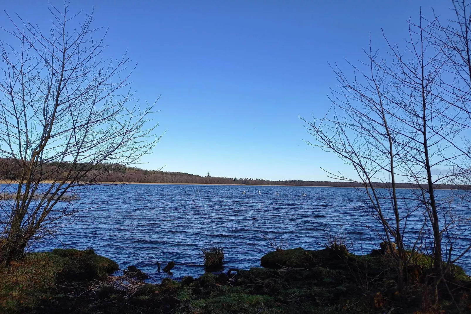 8 person holiday home in Ebeltoft-By Traum-Water view