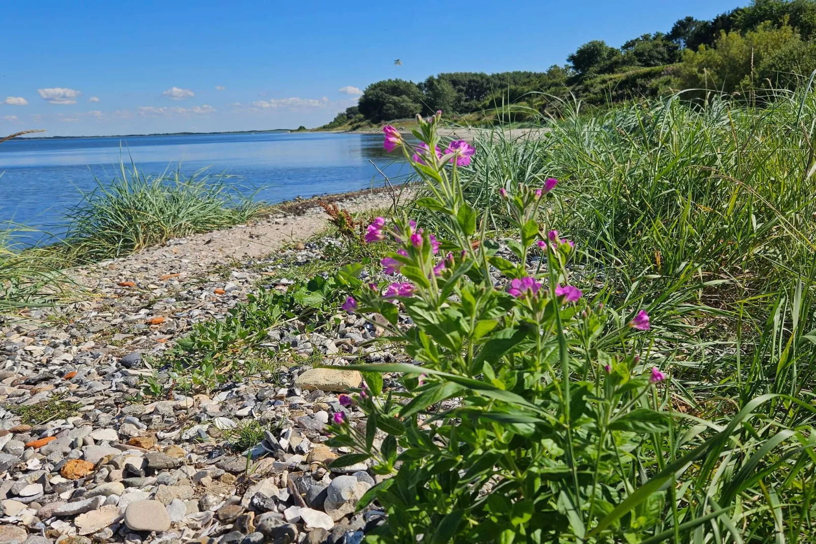 4 Personen Ferienhaus in Nykøbing M-By Traum-Wasserblick
