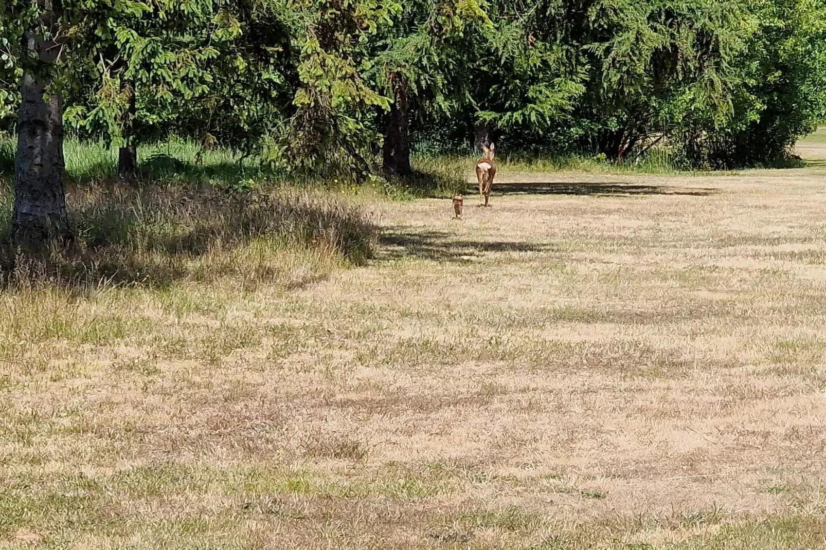 6 person holiday home in Idestrup-By Traum-Untagged