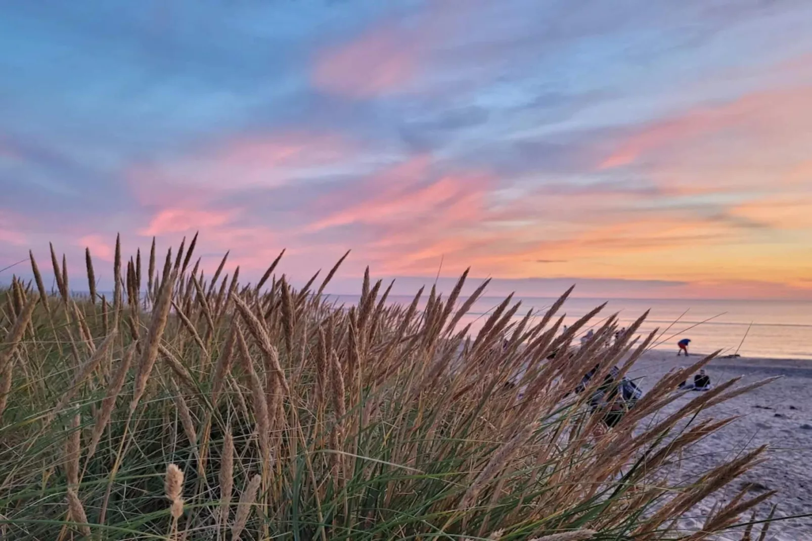 Maison de vacances pour 8 a Skagen-Vue sur l'eau