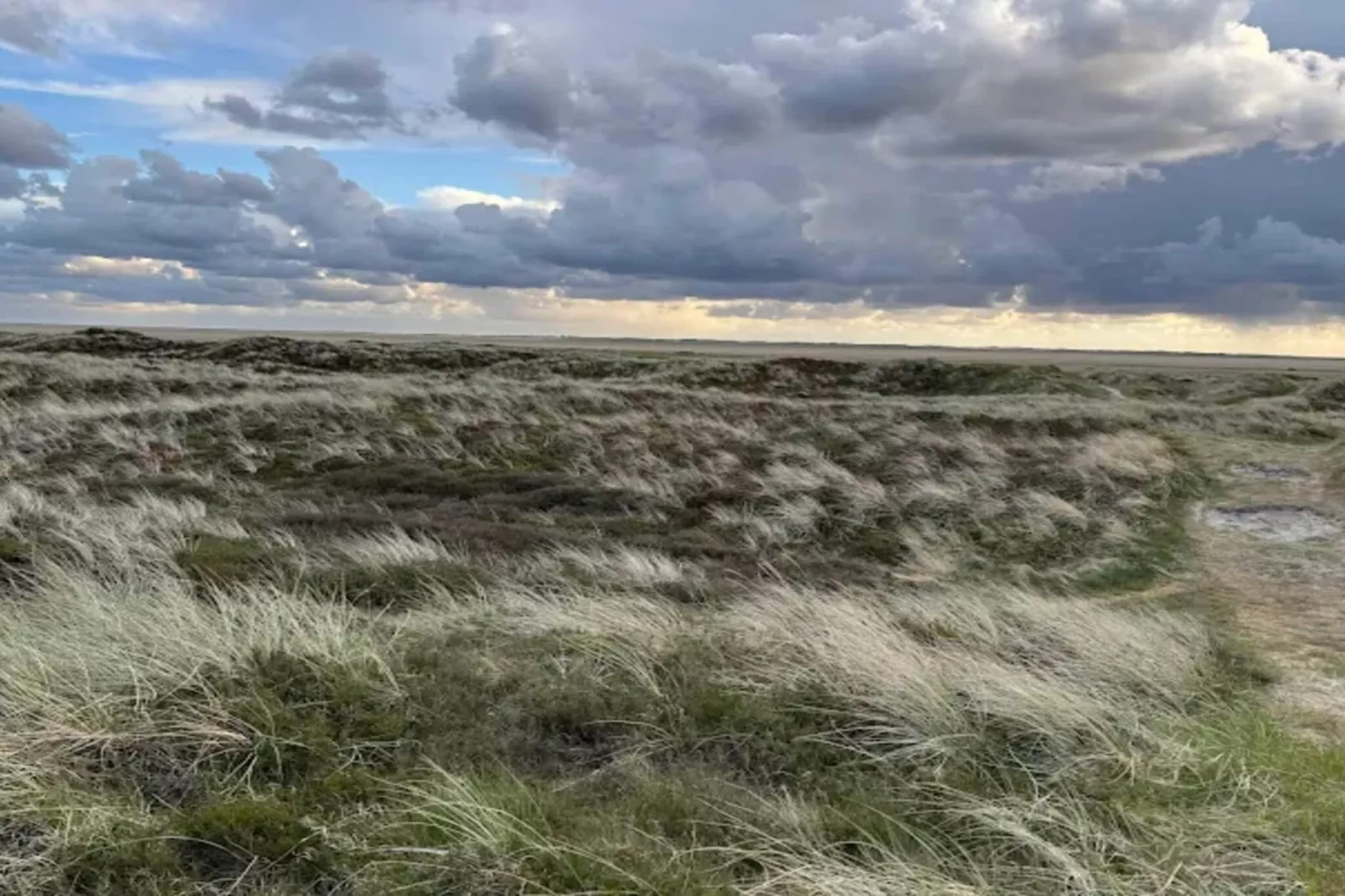 5 Personen Ferienhaus in Rømø-By Traum-Nicht zugeordnet