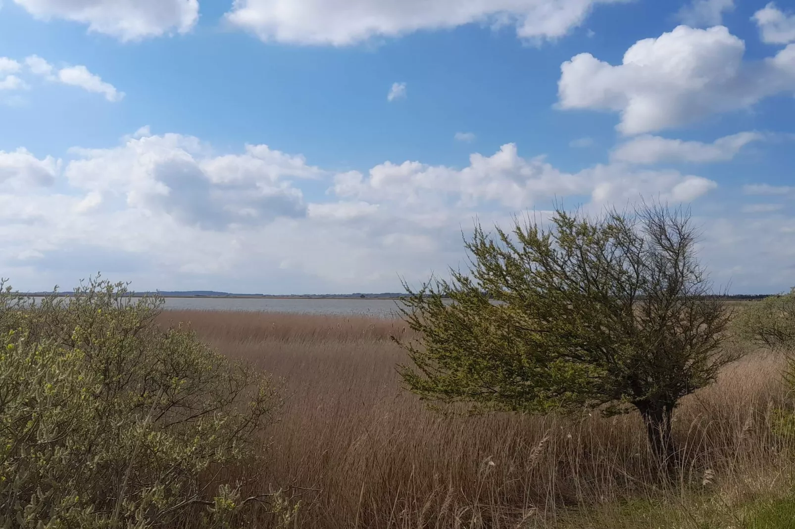 Maison de vacances pour 6 a Vesløs-By Traum-Non tagué