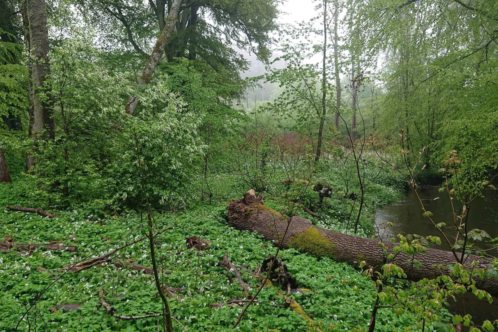 6 person holiday home in DEGEBERGA-By Traum-Untagged