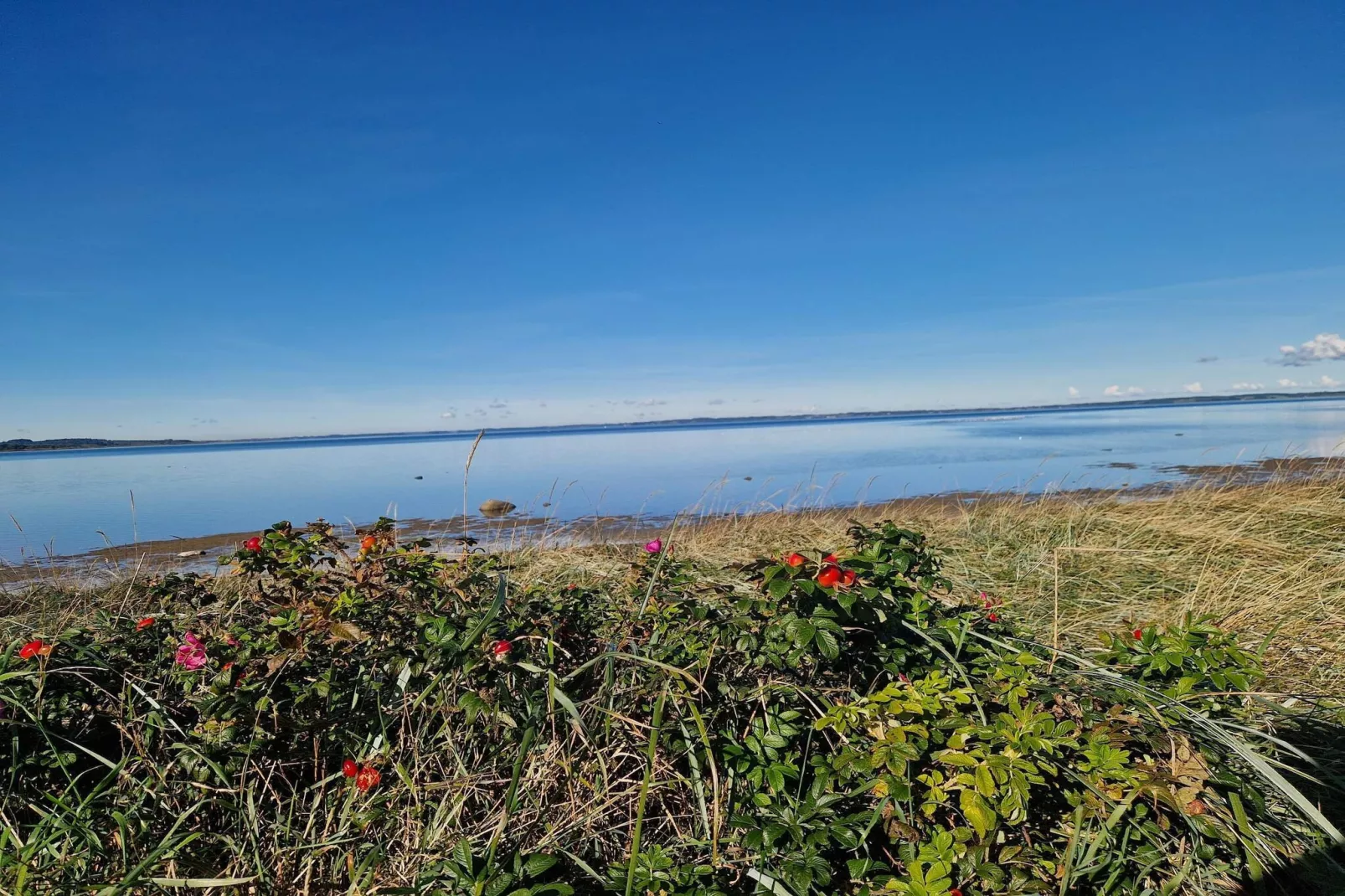 6 person holiday home in Højslev-By Traum-Water view