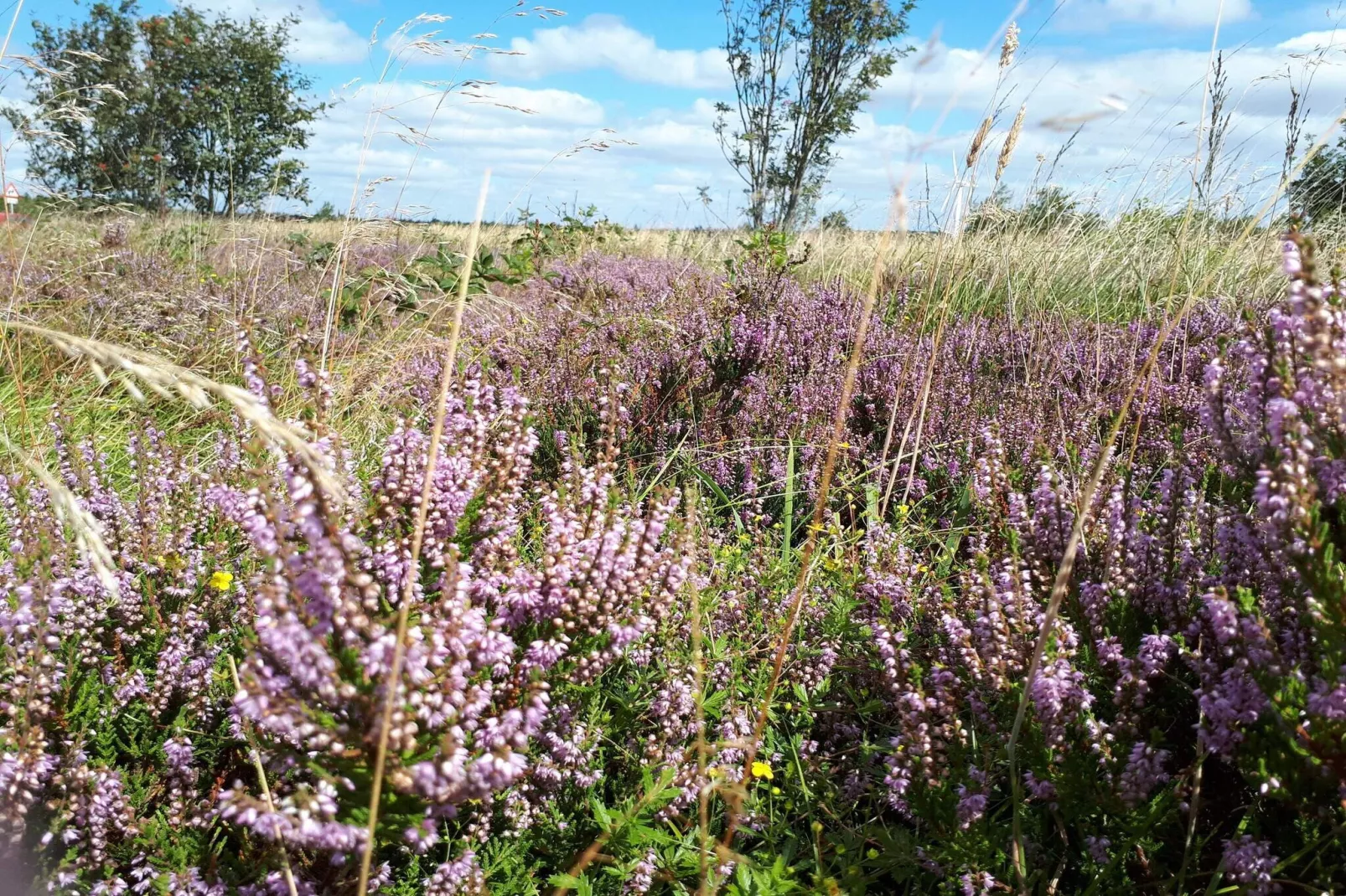 Luxury Retreat by Ho Bay - By Traum Ferienwohnungen-Untagged