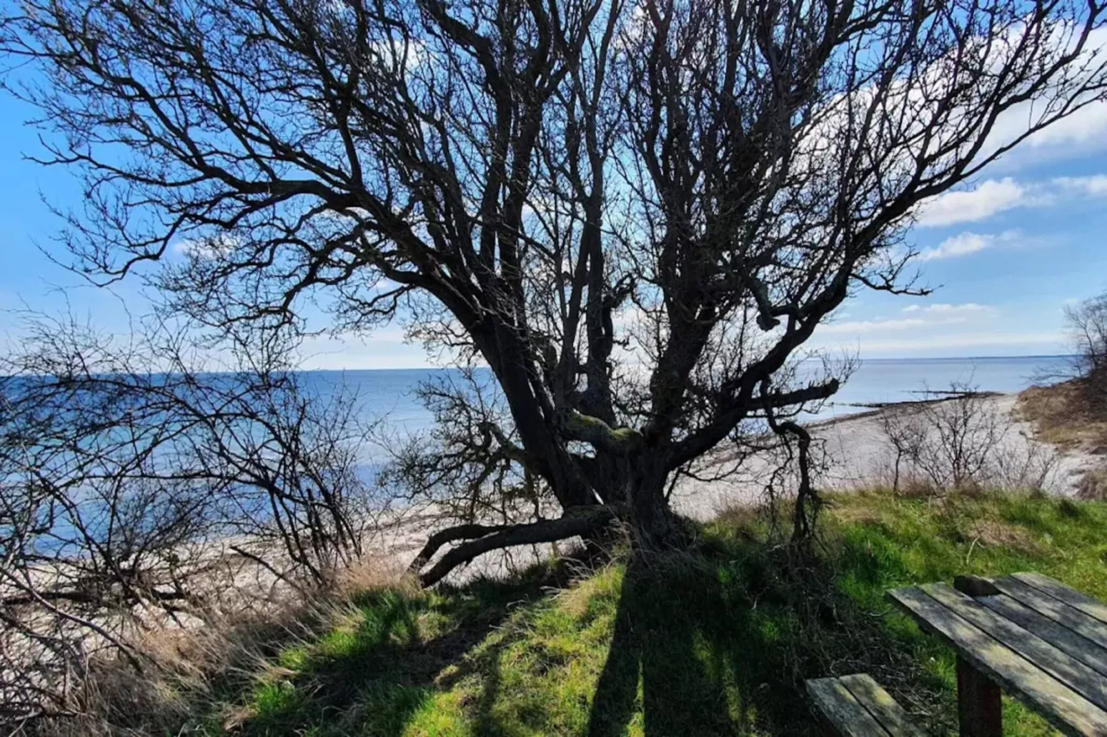 Maison de vacances pour 8 a Idestrup-By Traum-Vue sur l'eau