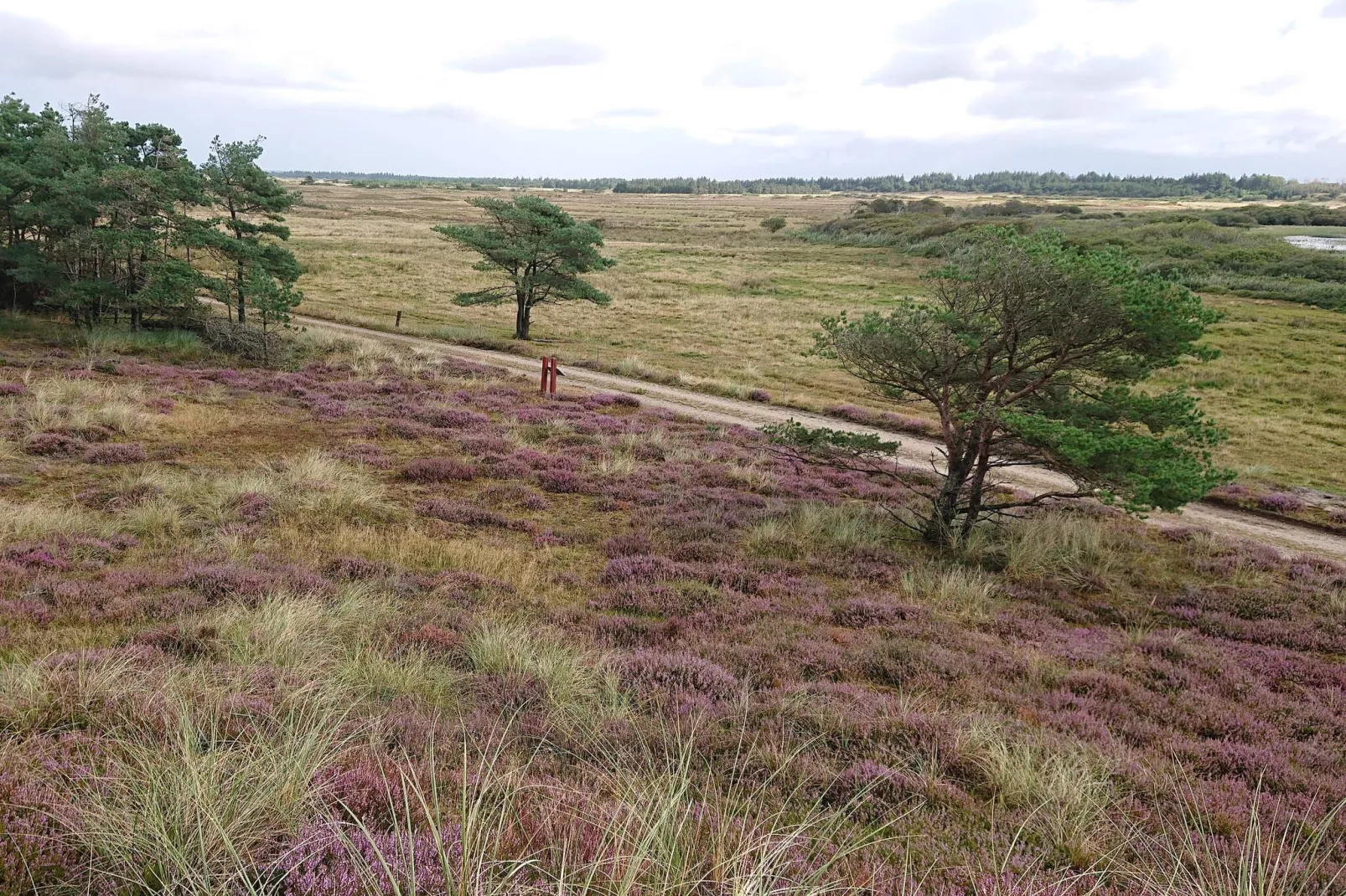 Strandparadies in Graerup -- By Traum Ferienwohnungen-Nicht zugeordnet