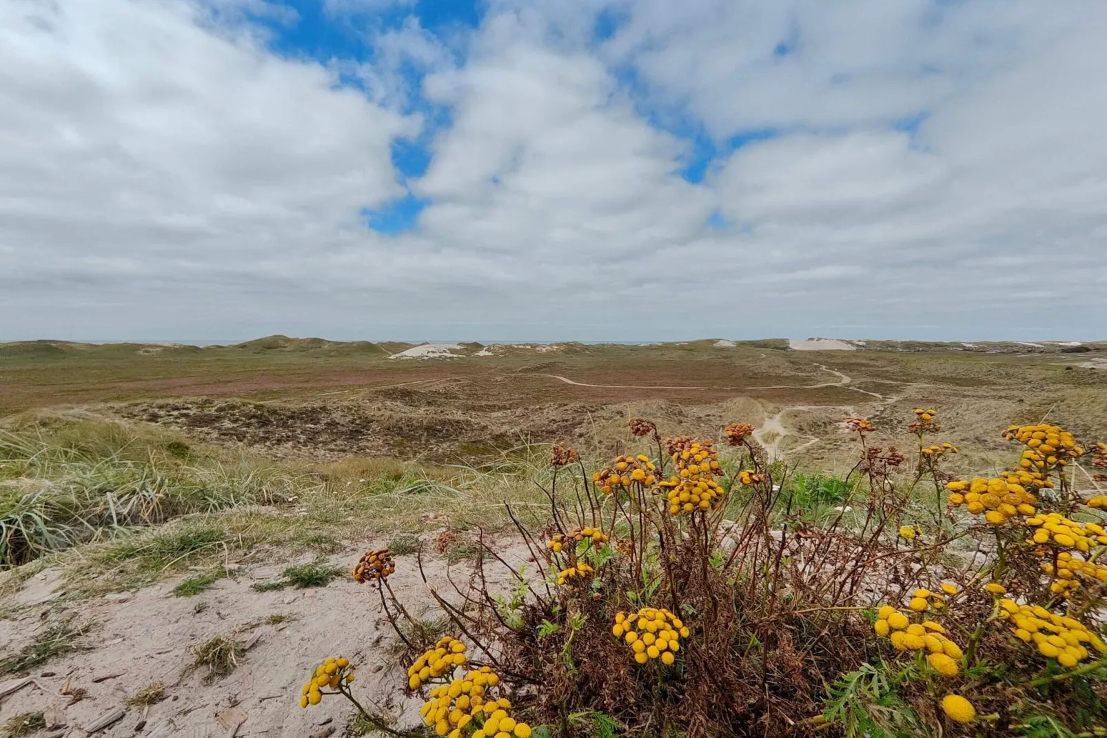 Cozy Retreat by the Sea - By Traum Ferienwohnungen-Untagged