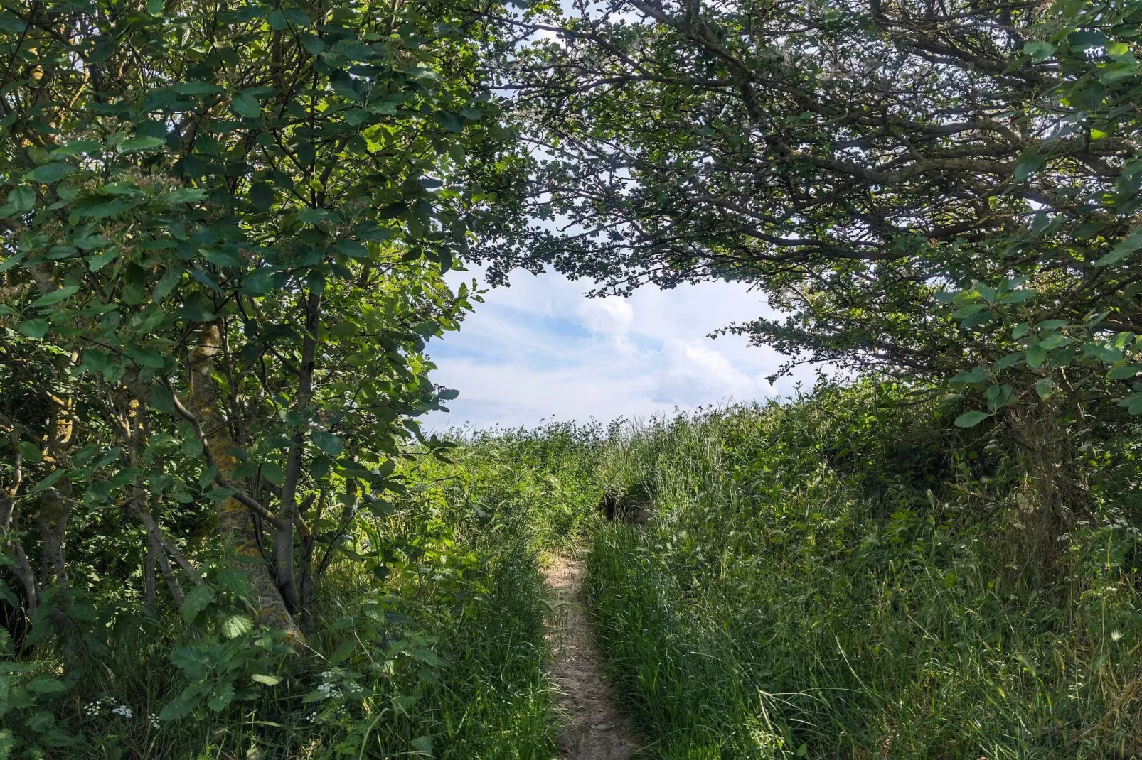 6 person holiday home in Humble-By Traum-Untagged