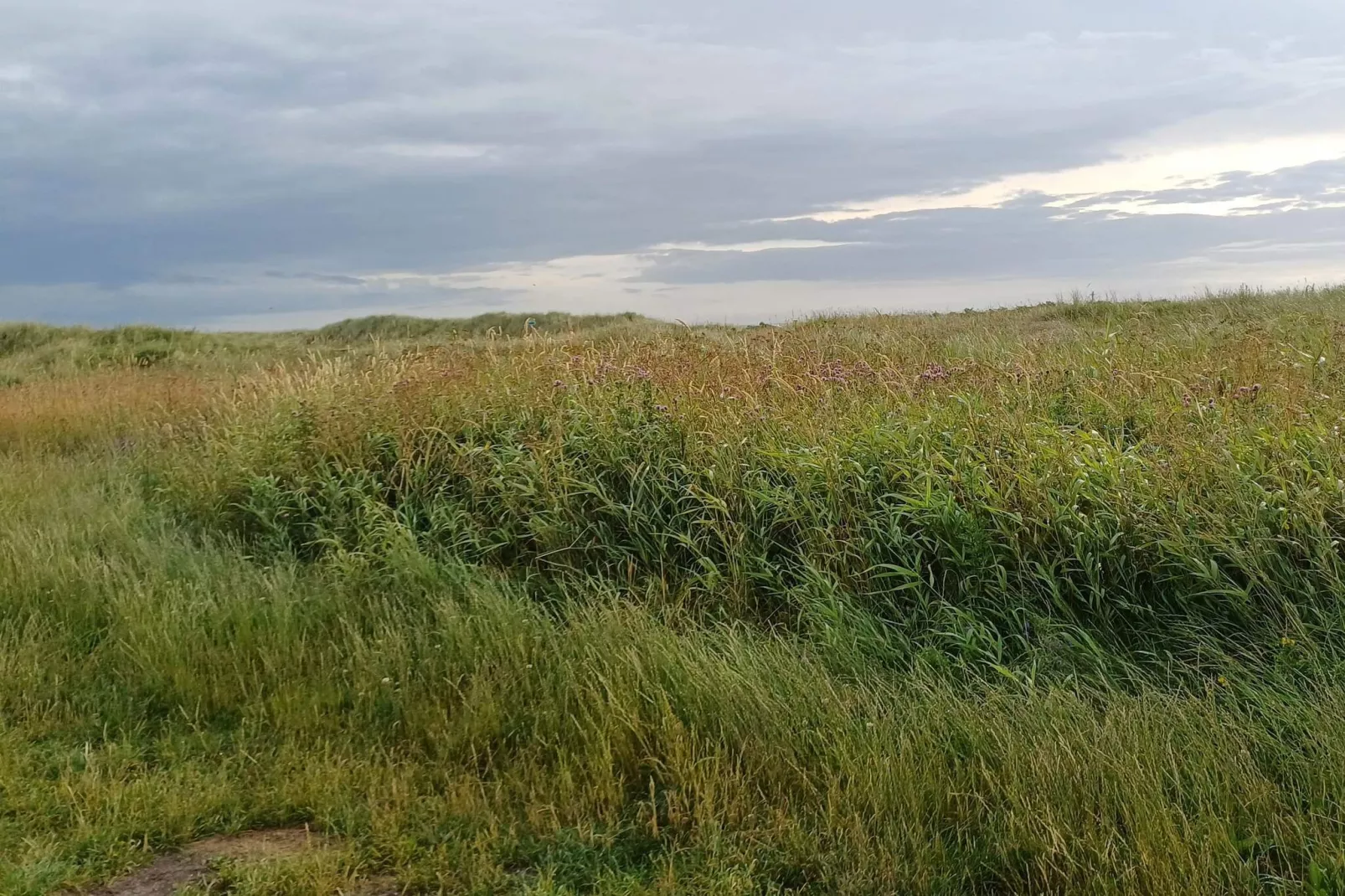 Seaside Escape with Spa - By Traum Ferienwohnungen-Untagged