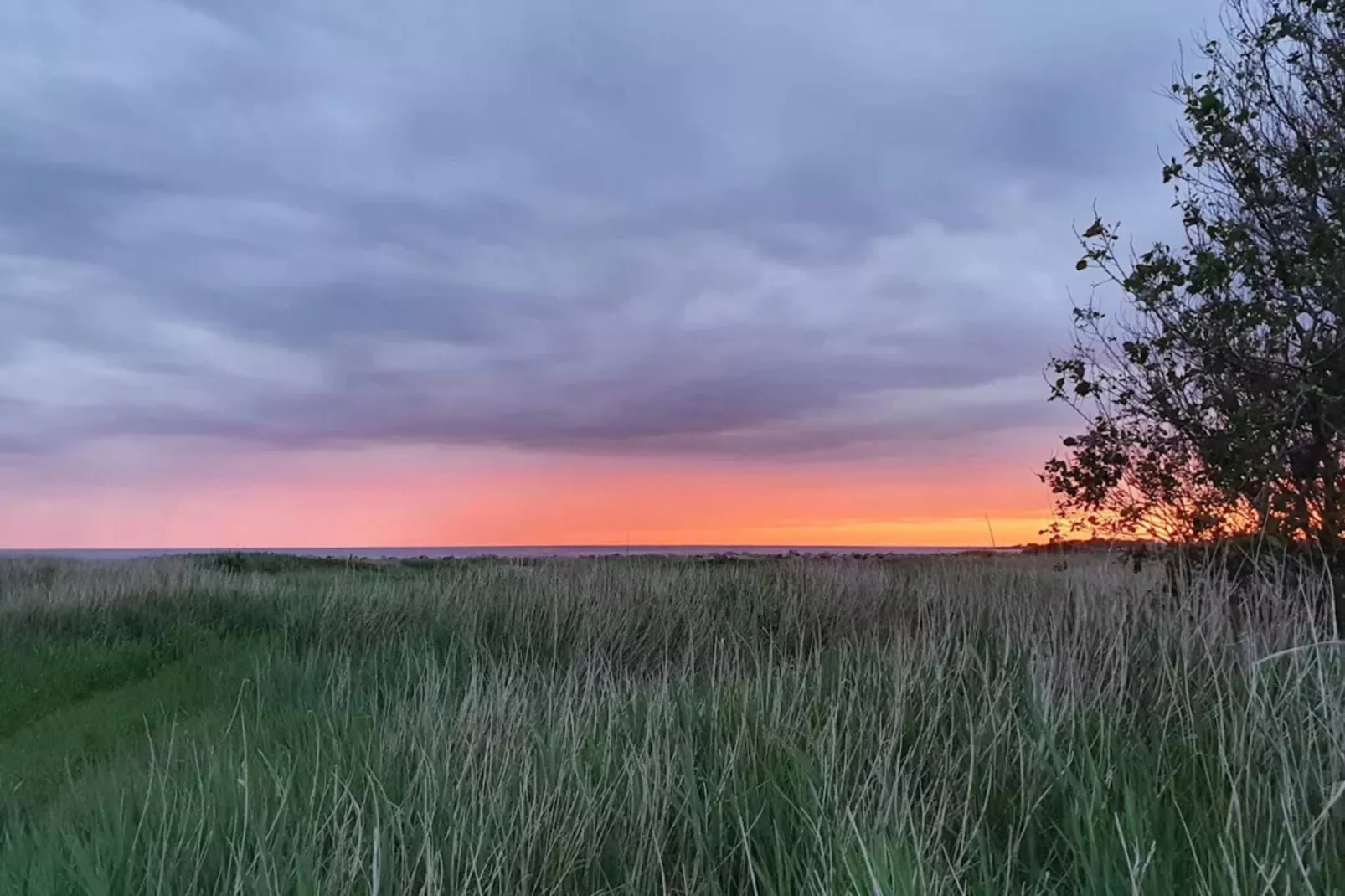 Maison de vacances pour 2 a FALKENBERG-By Traum-Non tagué