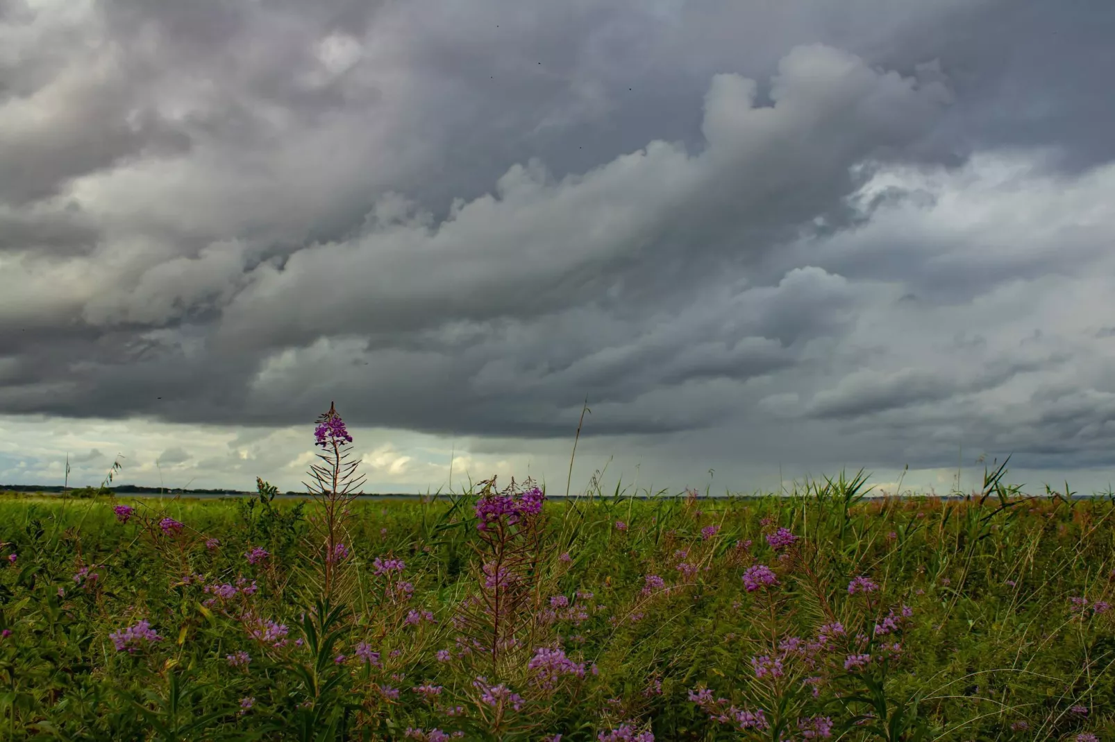 6 person holiday home in Nibe-By Traum