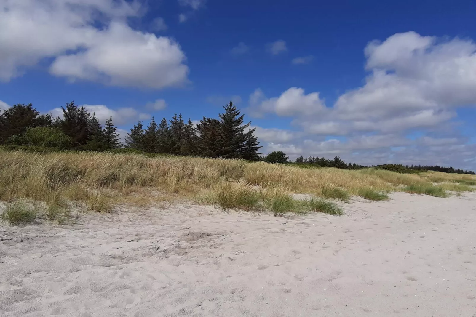 12 person holiday home in Hals-By Traum-Untagged