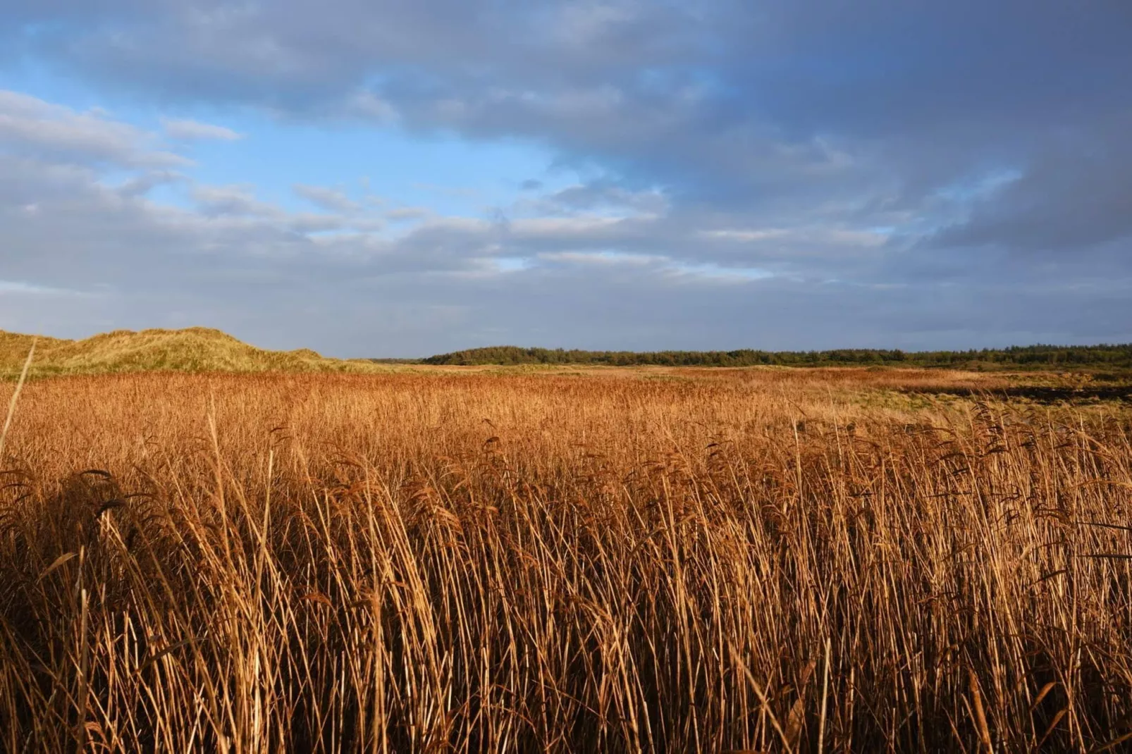 Seaside Wellness Retreat - By Traum Ferienwohnungen-Untagged