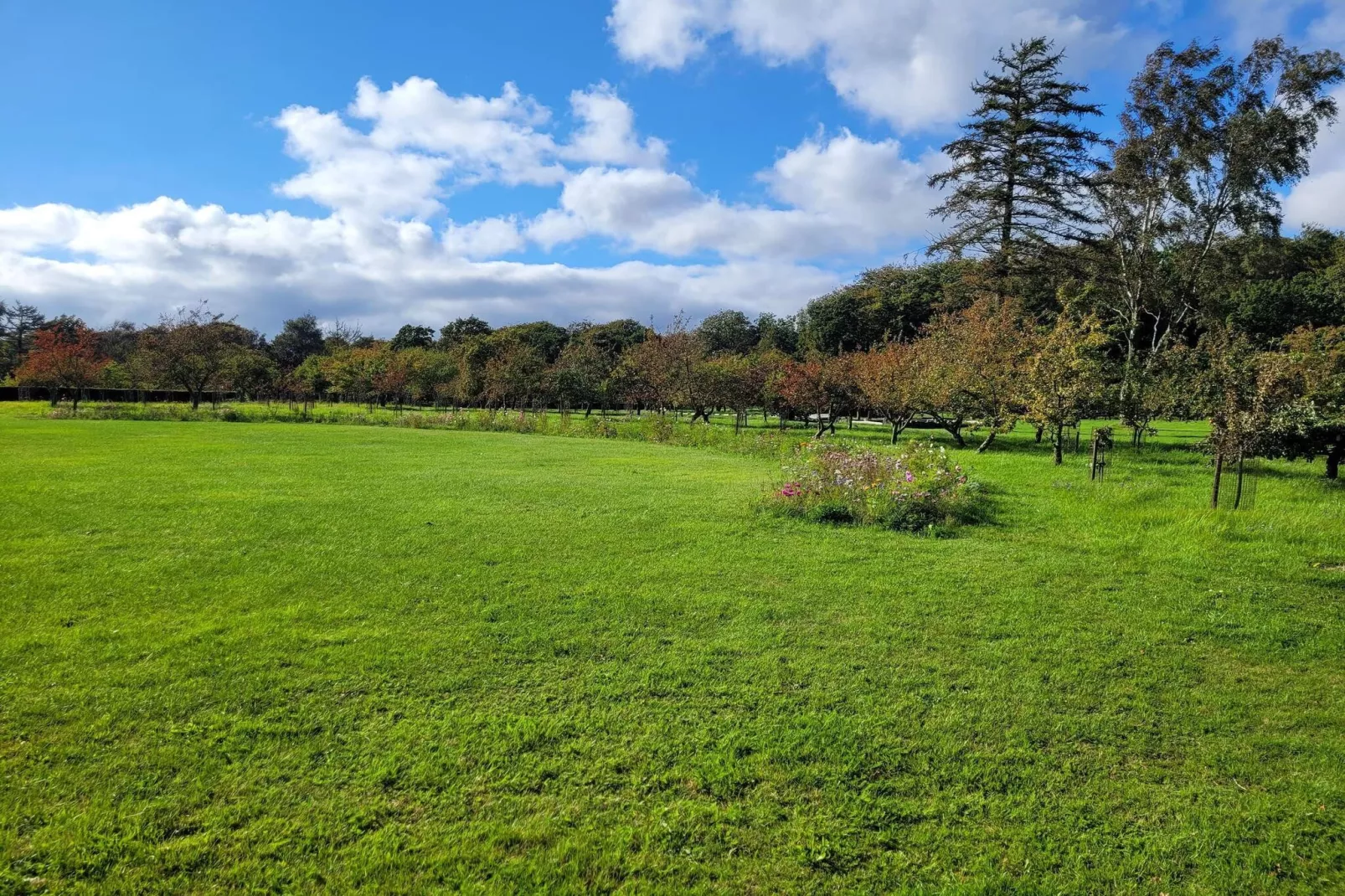 8 person holiday home in Sæby-By Traum-Untagged
